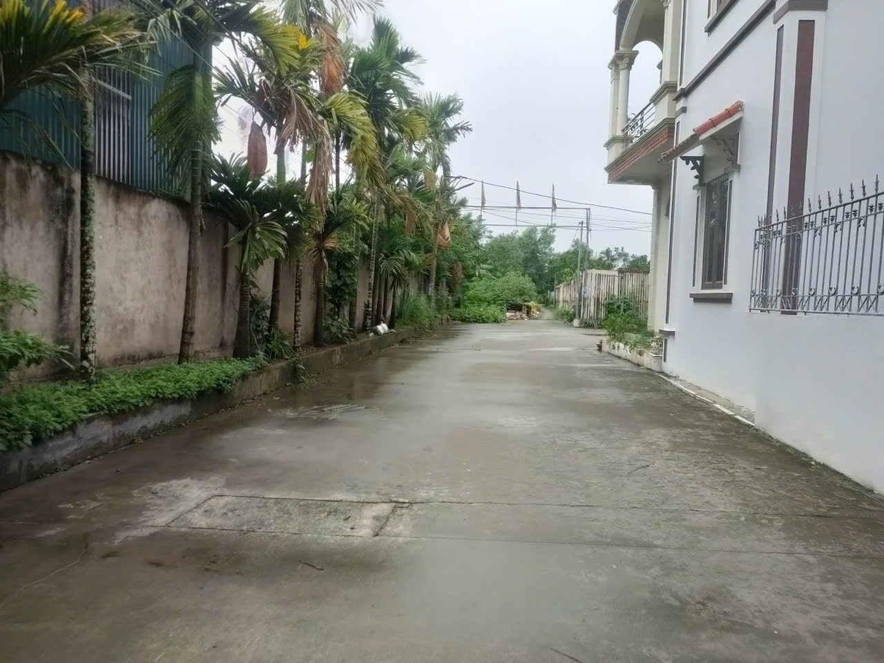 Bán lô đất nở hậu đẹp, 90m2 tại Như Quỳnh, Văn Lâm, ô tô 24 chỗ vào: 0835459289