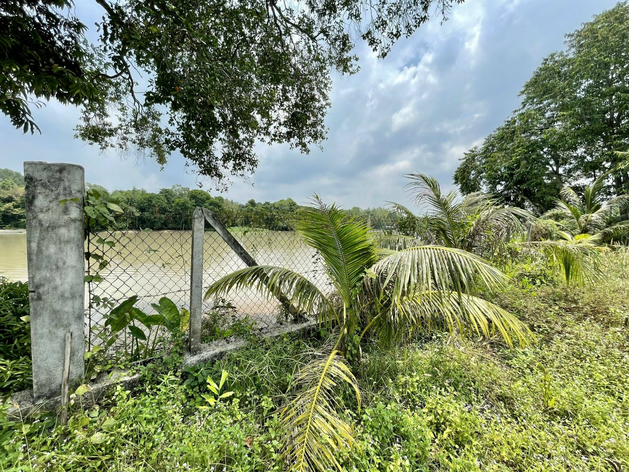 Bán đất ven sông Sài Gòn xã An Phúm Củ Chi tdt 2886m2 ( 95m2 thổ) giá 5,5 tỷ