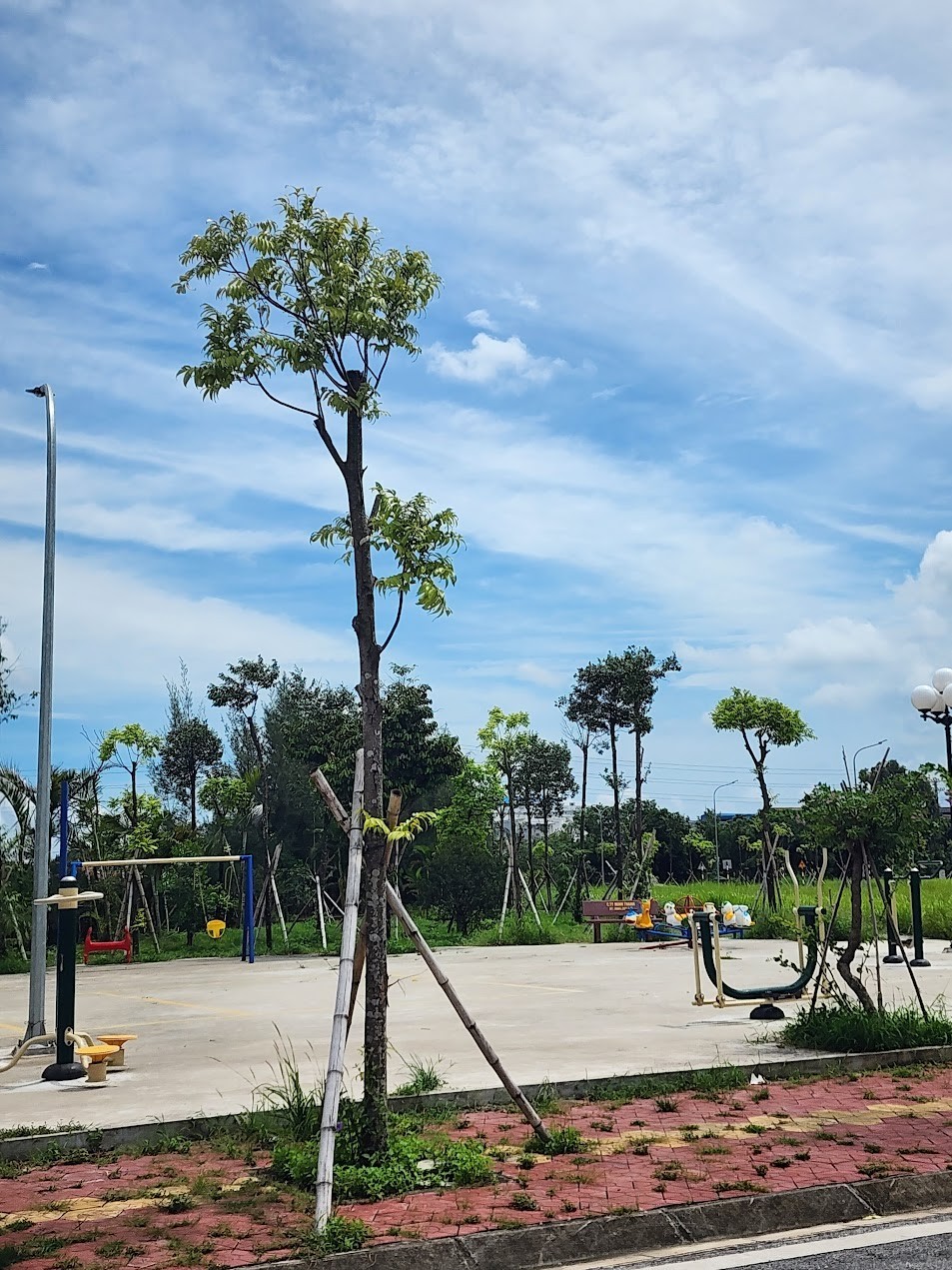 Bán đất Minh Thanh Lai Cách giá đầu tư vị trí đẹp chỉ 2ty1xx triệu siêu rẻ 2