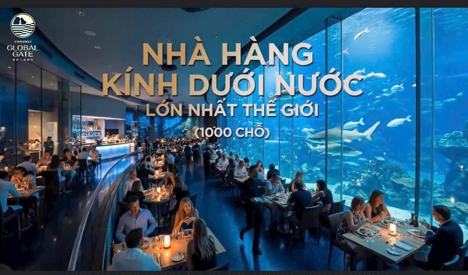 Vinhomes GLOBAL GATE HẠ LONG Vịnh Bình Minh - Biệt Thự Song Lập 3,5 Tầng 162m2 Ven Vịnh Hạ Long 5