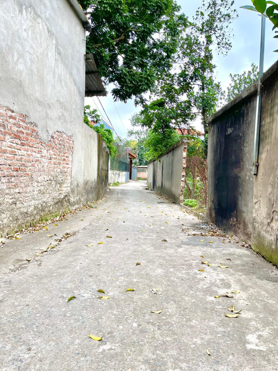 Bán Đất Trung Tâm Như Quỳnh - 300m² Thổ Cư - Giá Cực Sốc: 0835459289