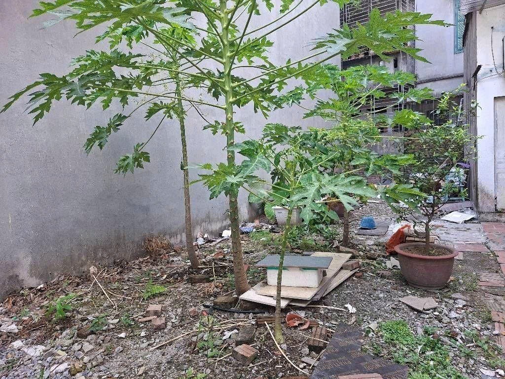 Cần bán Nhà mặt tiền đường Yên Duyên, Phường Vĩnh Hưng, Diện tích 84m², Giá 23 Tỷ 3