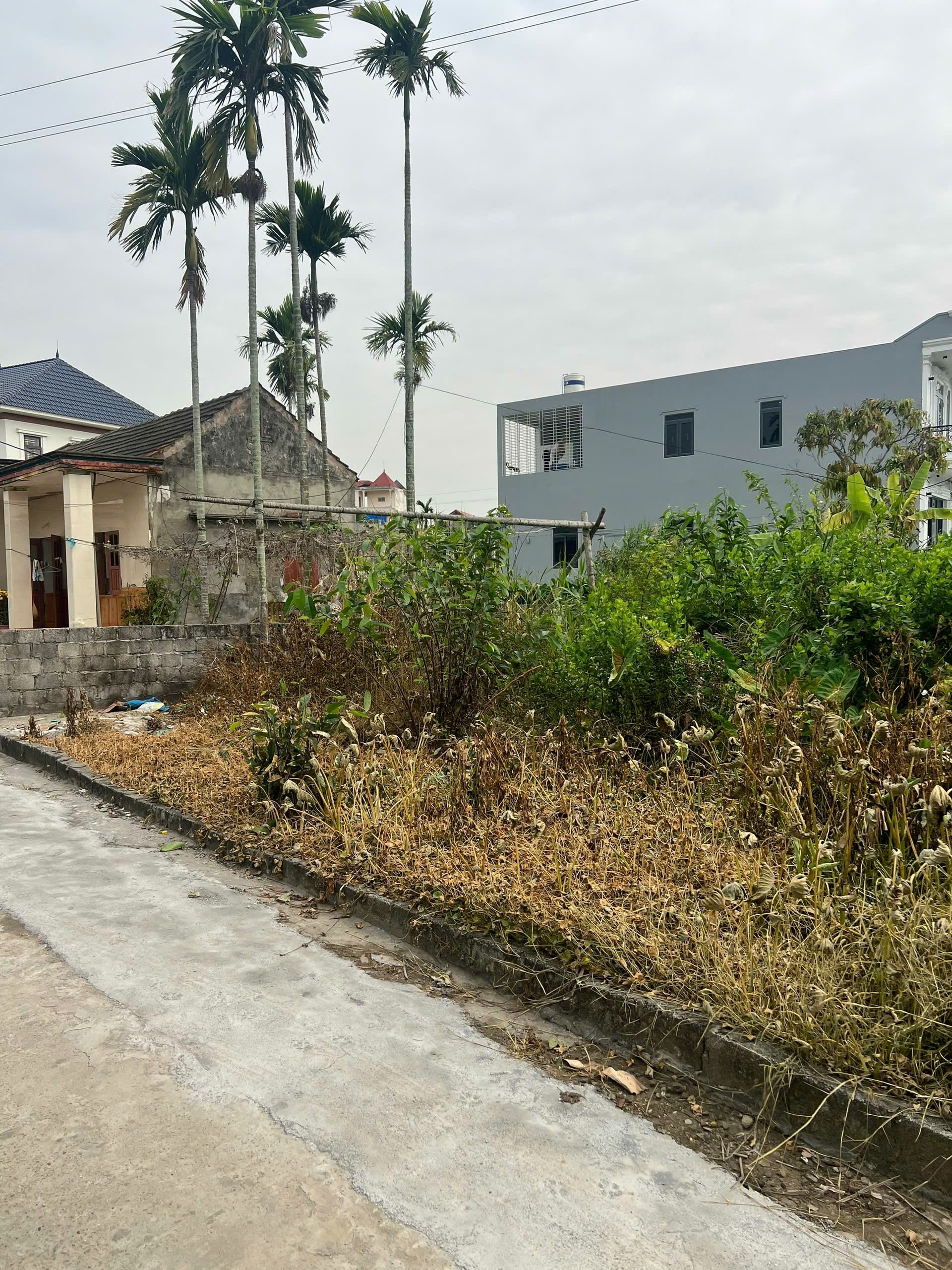 BÁN LÔ ĐẤT ĐẸP TẠI TỔ DÂN PHỐ 12 - PHƯỜNG HÒA NGHĨA - DƯƠNG KINH 2