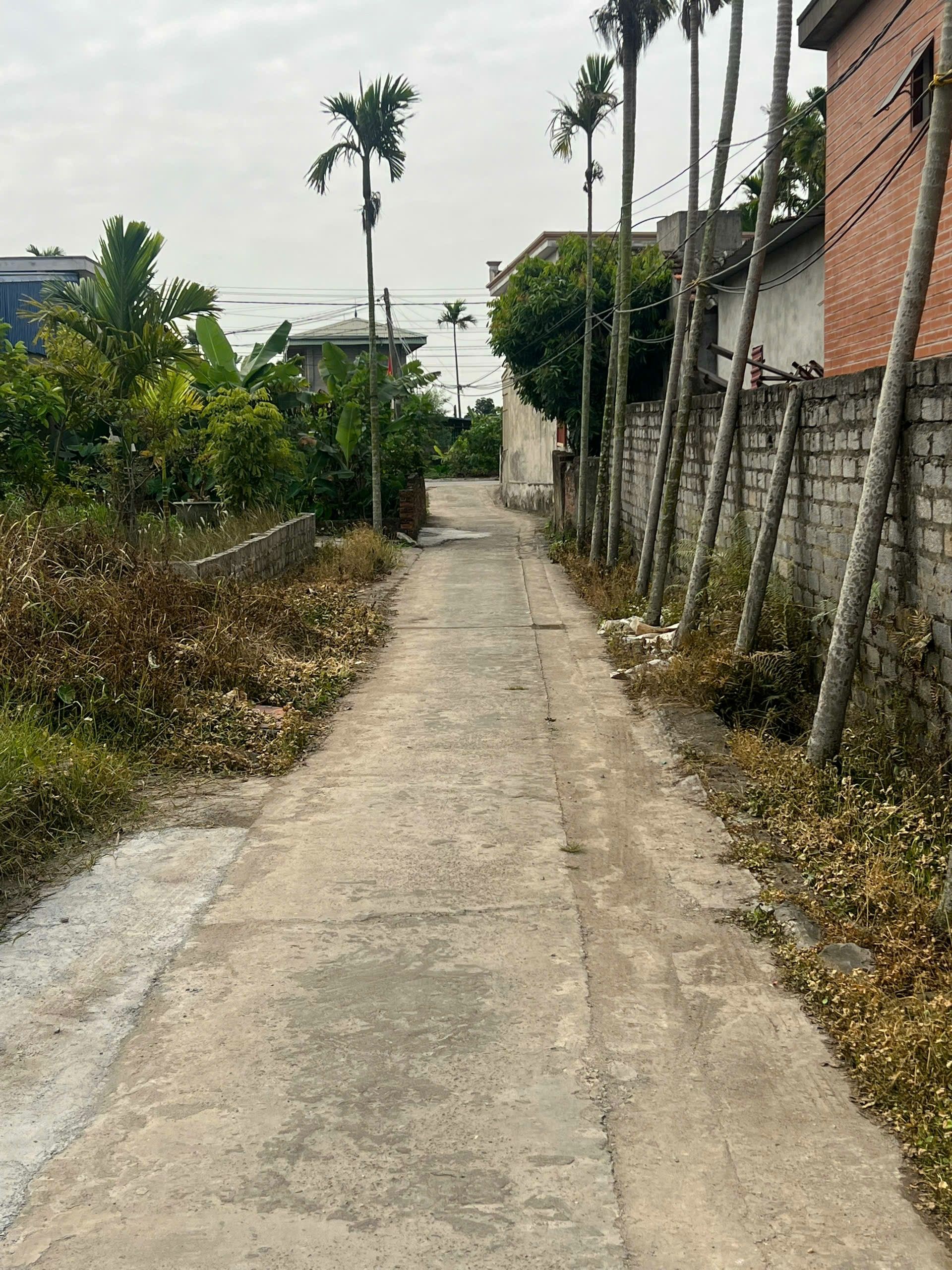 BÁN LÔ ĐẤT ĐẸP TẠI TỔ DÂN PHỐ 12 - PHƯỜNG HÒA NGHĨA - DƯƠNG KINH 3