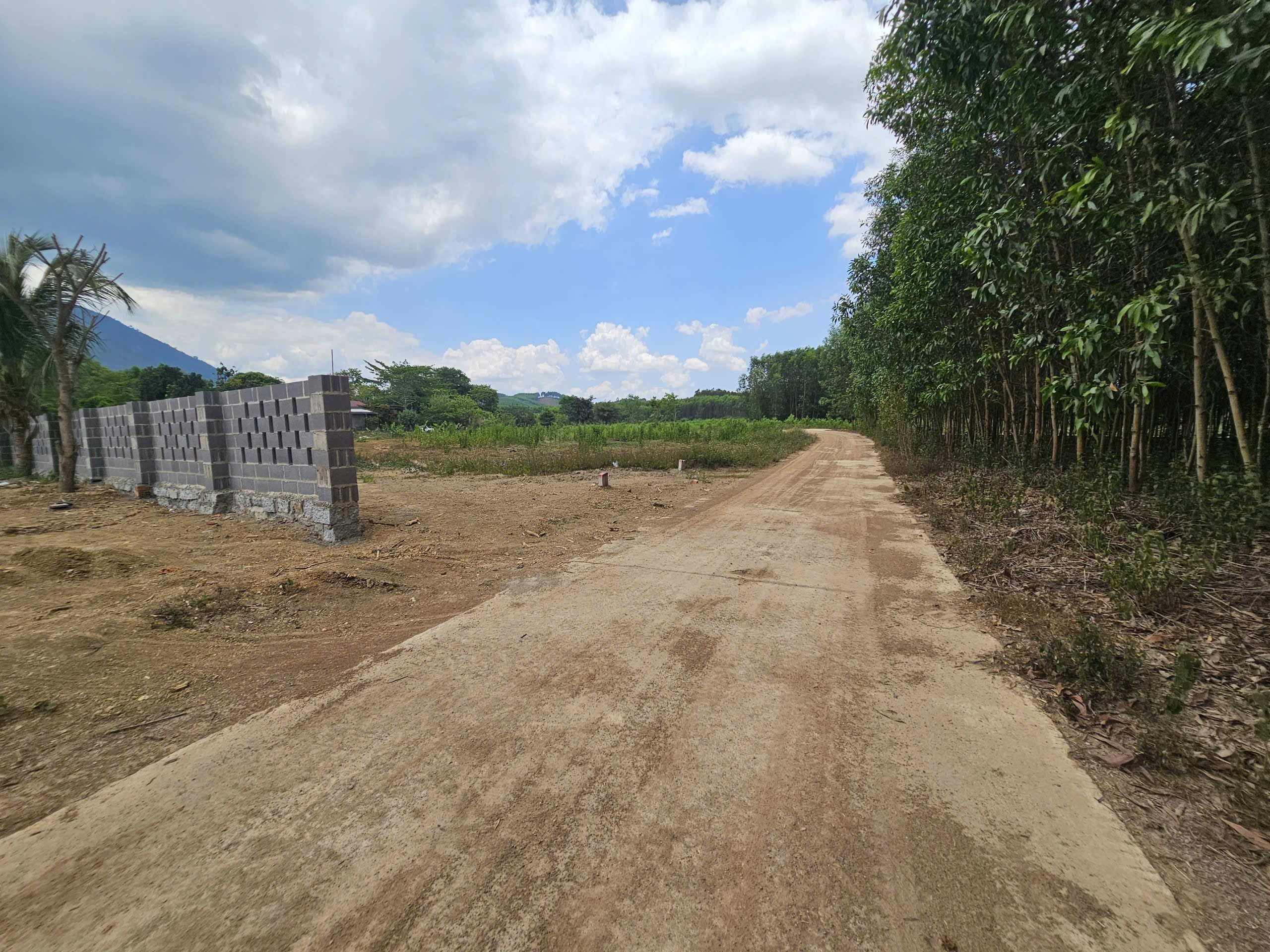 Bán đất Diên Xuân giá rẻ ngay khu dân cư - đường bê tông rộng 5 - 6m ô tô tận nơi 2