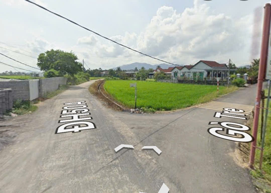 Bán đất Diên Sơn mặt đường Nhà Vuông 8