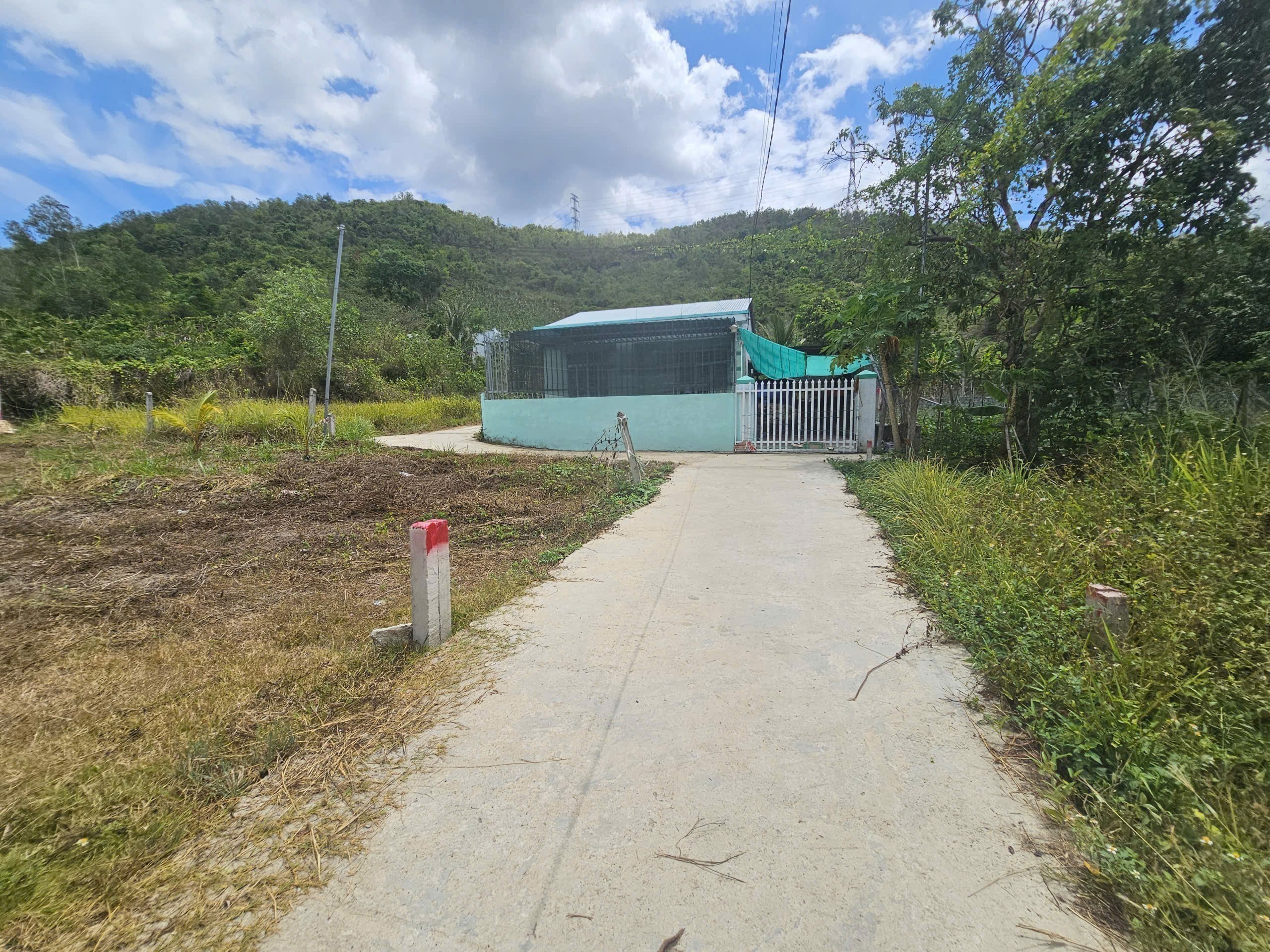Bán đất Diên Tân full thổ giá rẻ sát bên Hương Lộ 62 đối diện công ty Đảnh Thạnh đi vào 4