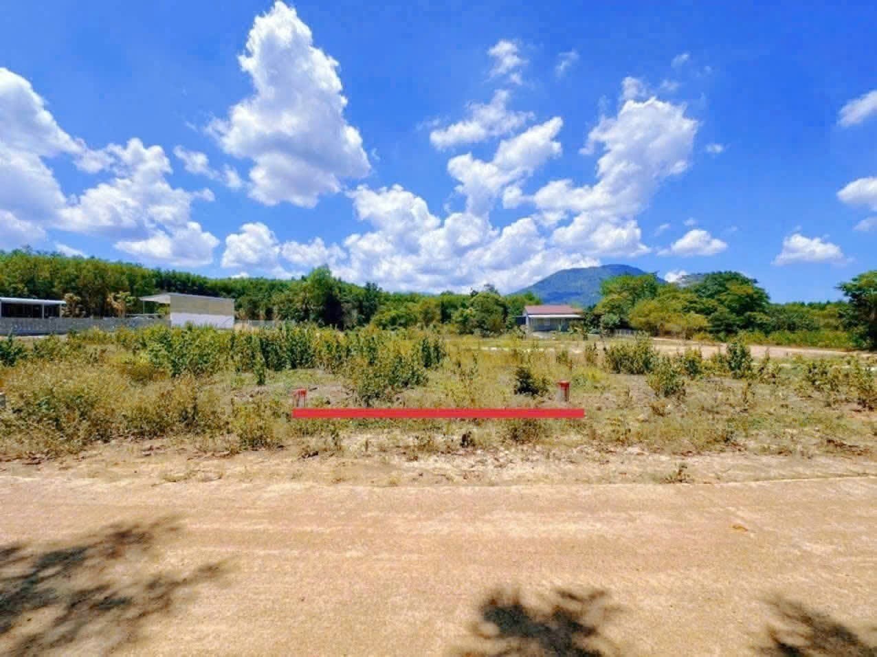 Bán đất Diên Xuân giá rẻ xây nhà an cư - đường bê tông ô tô tận nơi điện nước đầy đủ 2