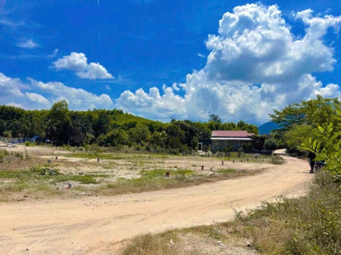 Bán đất Diên Xuân giá rẻ xây nhà an cư - đường bê tông ô tô tận nơi điện nước đầy đủ 4