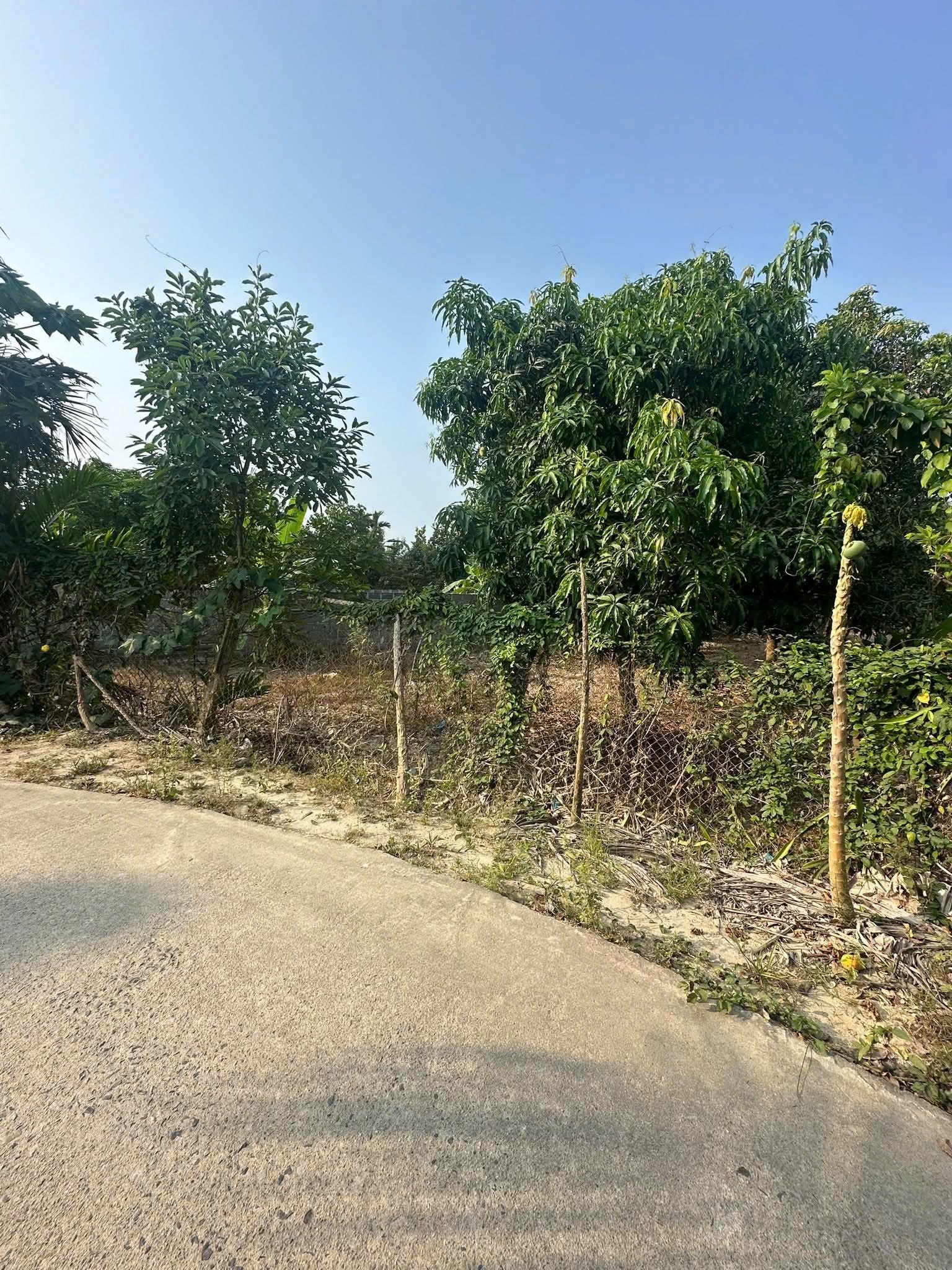 Bán đất Diên Phước mặt tiền đường Phước Tuy rộng rãi phù hợp xây biệt thự vườn 4