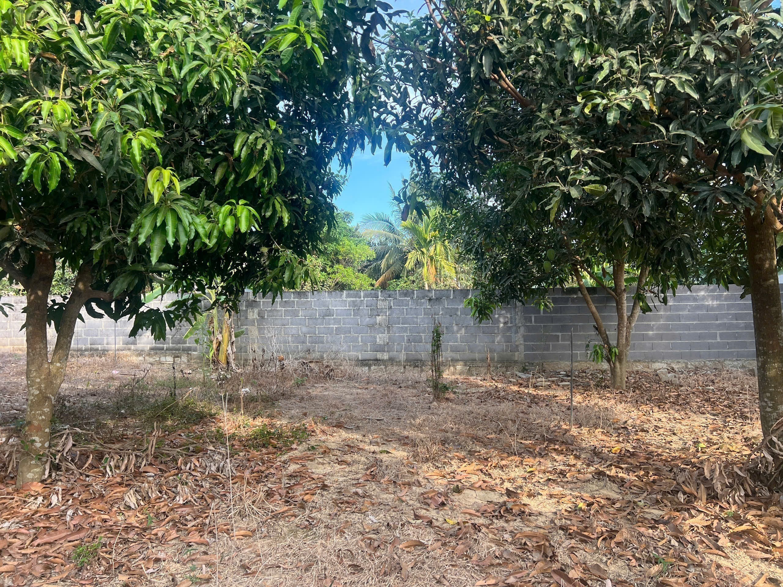 Bán đất Diên Phước mặt tiền đường Phước Tuy rộng rãi phù hợp xây biệt thự vườn 6
