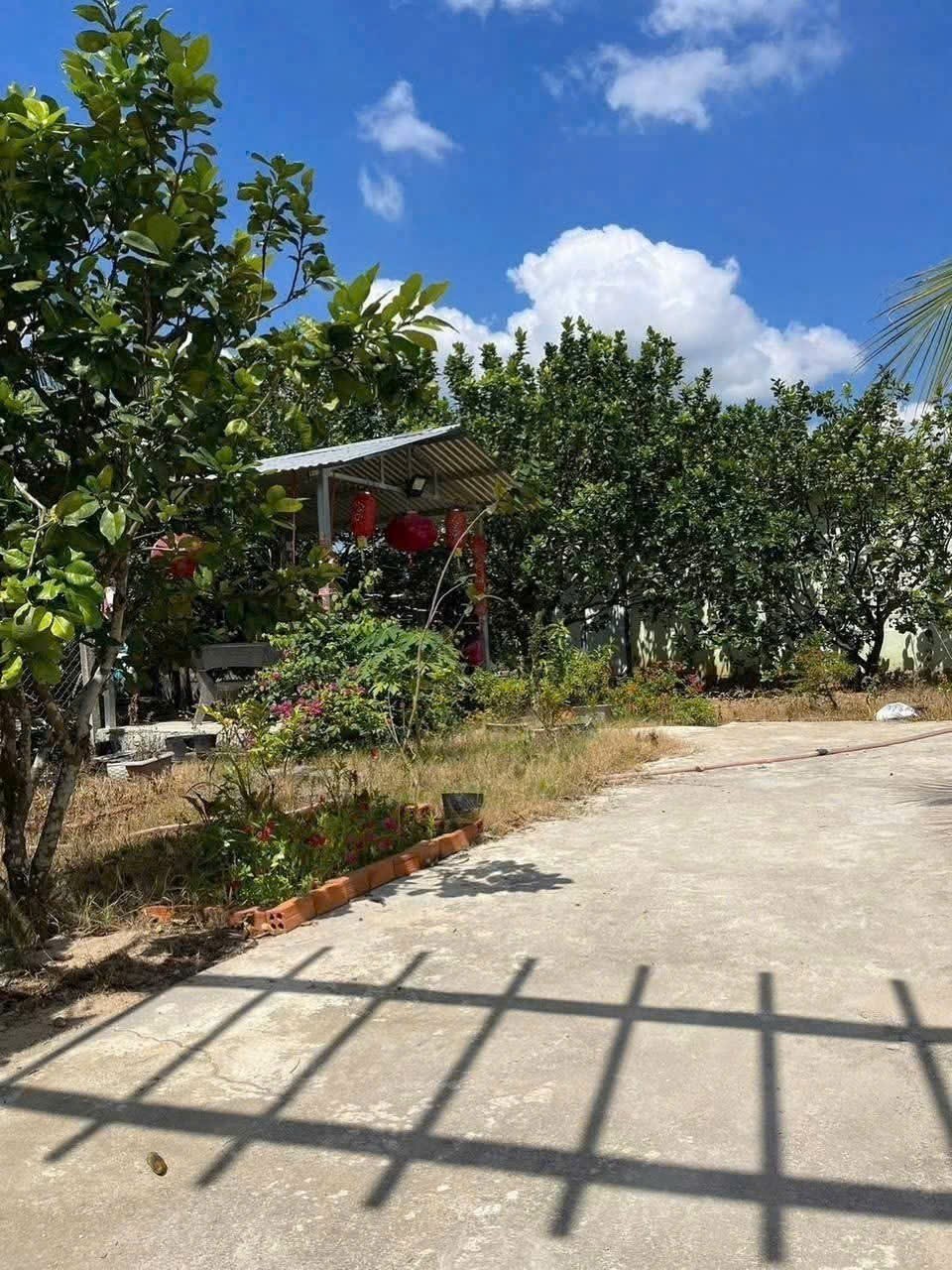 Bán nhà vườn Khánh Đông gần Tỉnh Lộ 8 tặng vườn cây trái sum suê phù hợp đầu tư nghỉ dưỡng 5