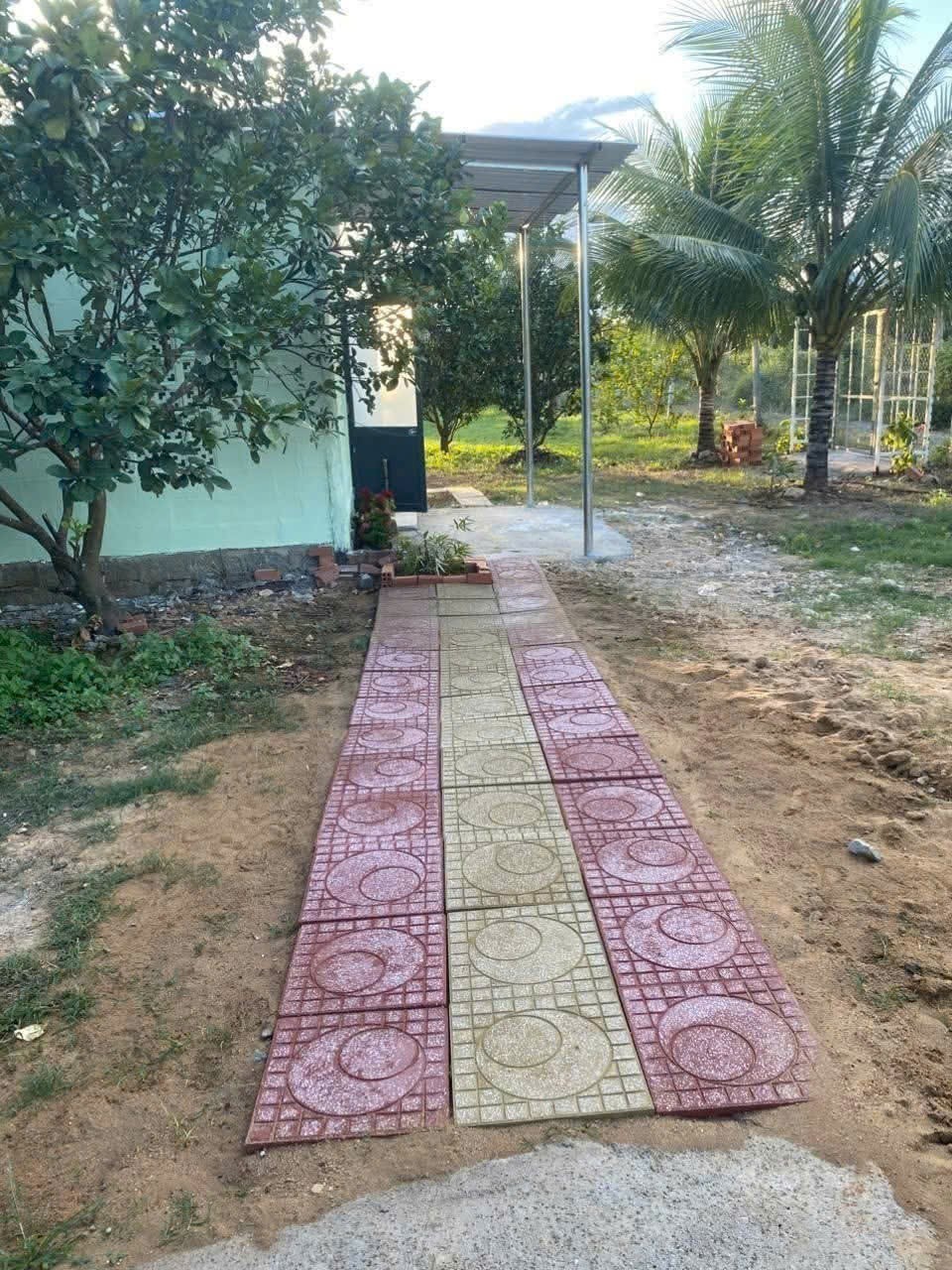 Bán nhà vườn Khánh Đông gần Tỉnh Lộ 8 tặng vườn cây trái sum suê phù hợp đầu tư nghỉ dưỡng 8