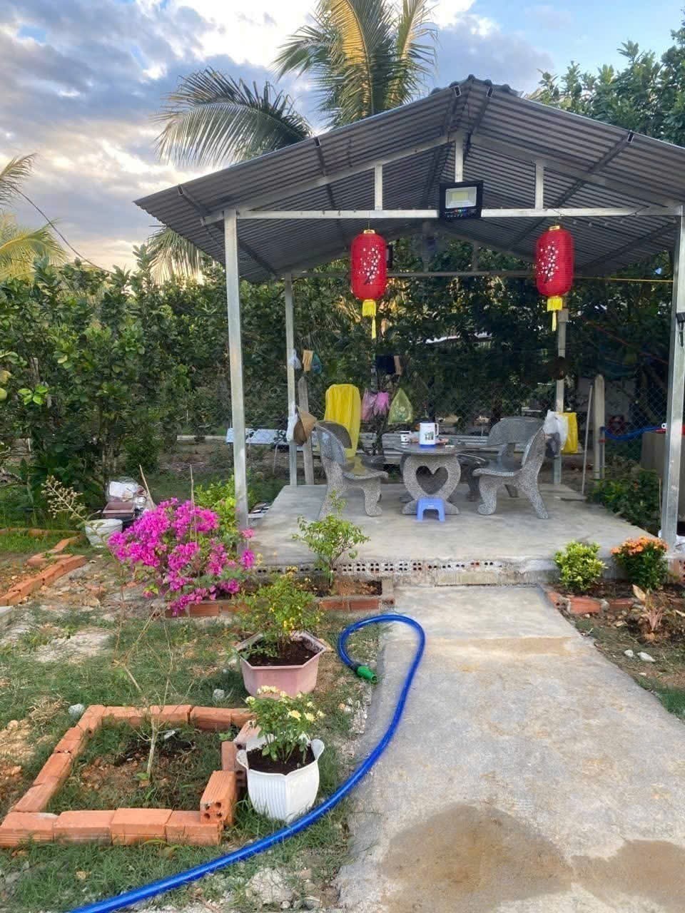 Bán nhà vườn Khánh Đông gần Tỉnh Lộ 8 tặng vườn cây trái sum suê phù hợp đầu tư nghỉ dưỡng 12