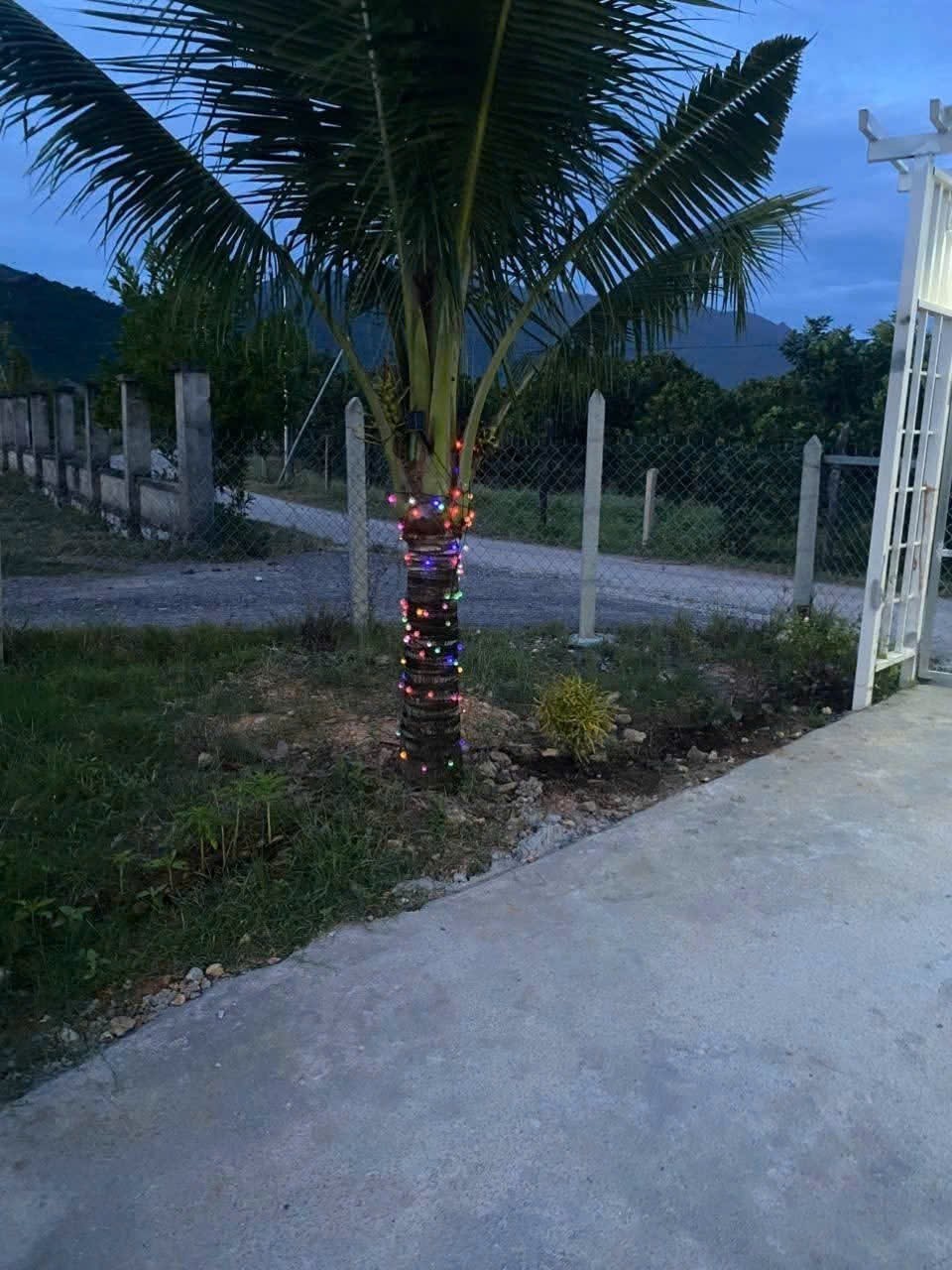 Bán nhà vườn Khánh Đông gần Tỉnh Lộ 8 tặng vườn cây trái sum suê phù hợp đầu tư nghỉ dưỡng 13