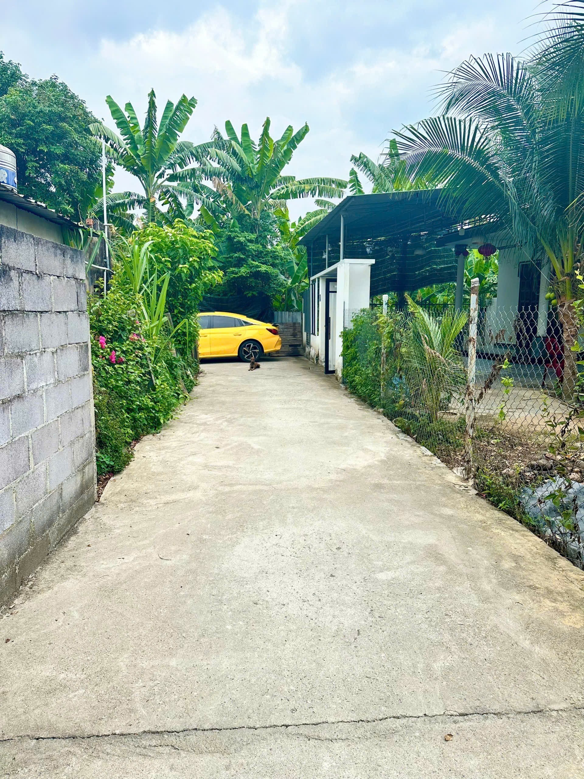 Bán đất Diên Lạc giá rẻ thôn Trường Lạc sát bên Tỉnh Lộ 2 bên hông chợ Cây Me đi vào 3