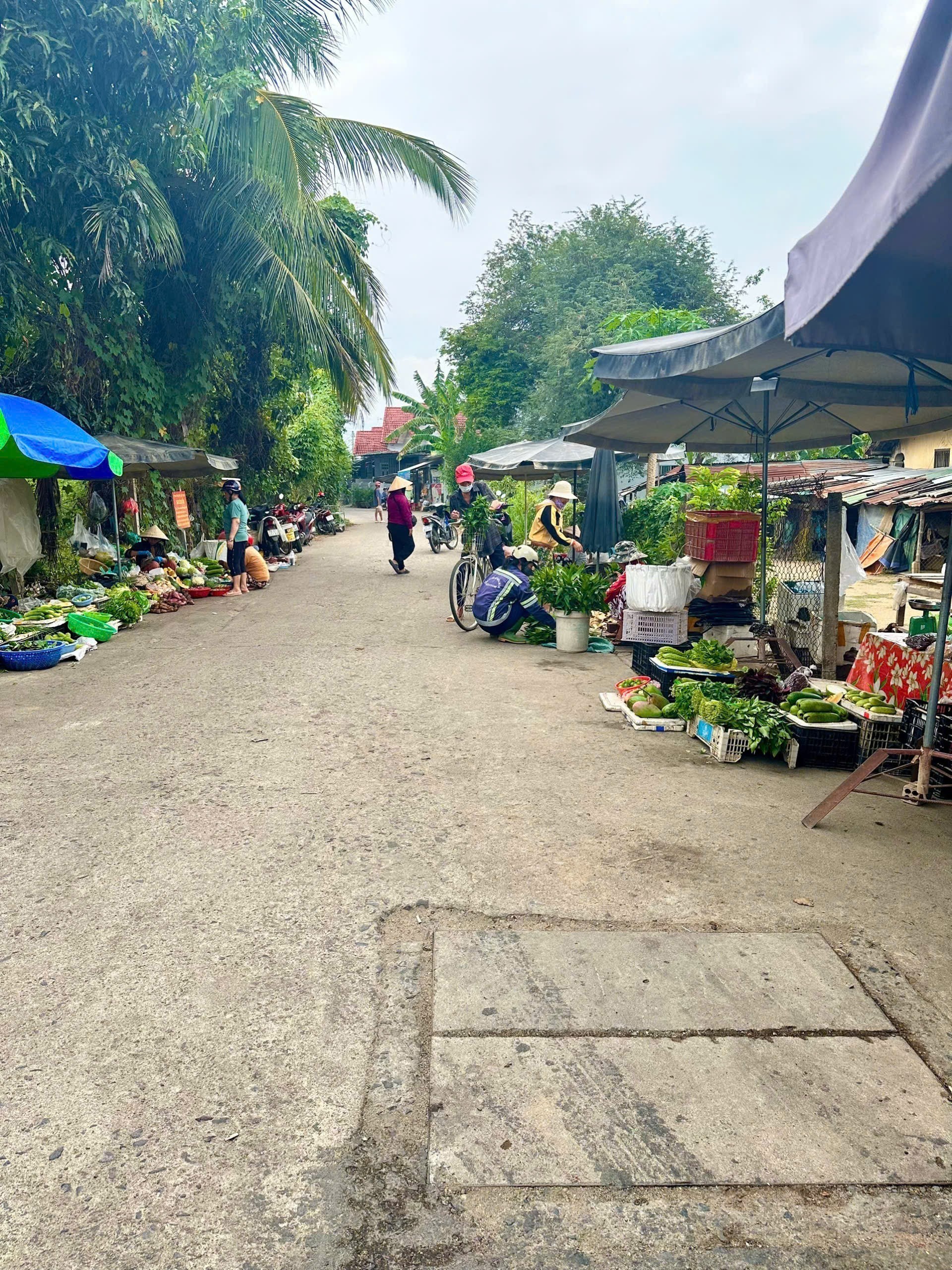 Bán đất Diên Lạc giá rẻ thôn Trường Lạc sát bên Tỉnh Lộ 2 bên hông chợ Cây Me đi vào 7