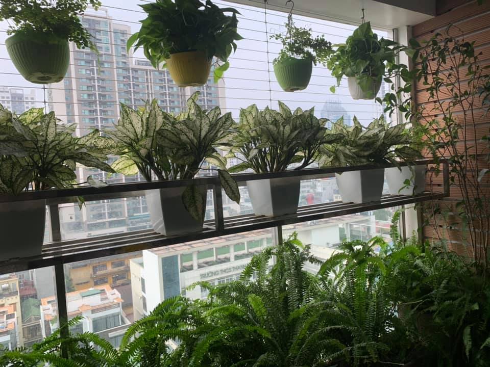 Bán căn góc 3PN tại Imperia Garden, full đồ giá 12.x tỷ 5