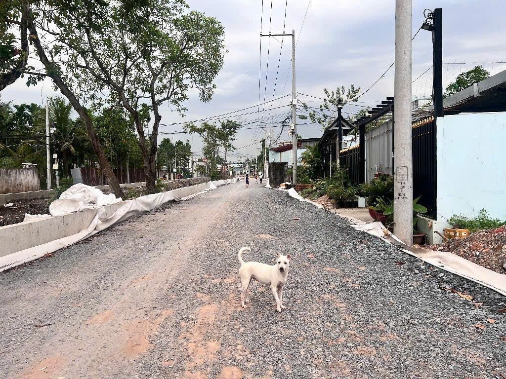 Bán đất tại Thạnh Xuân 52, 27 tỷ, 1392 m2, mặt tiền 14.5m, pháp lý đầy đủ 3