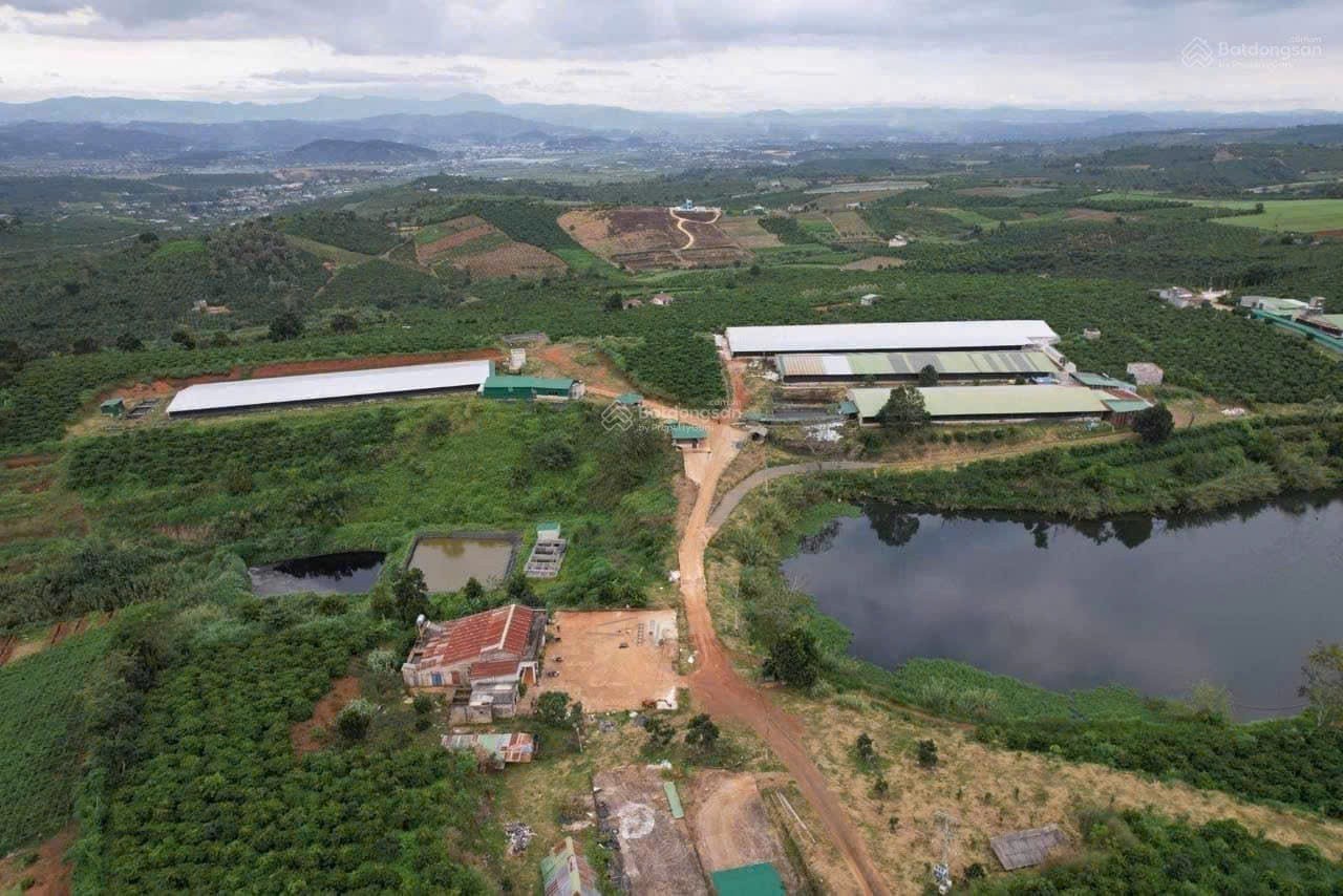 Cần bán Trang trại, rẫy, vườn đường Quốc lộ 27, Xã Phúc Thọ, Diện tích 90000m², Giá Thương lượng