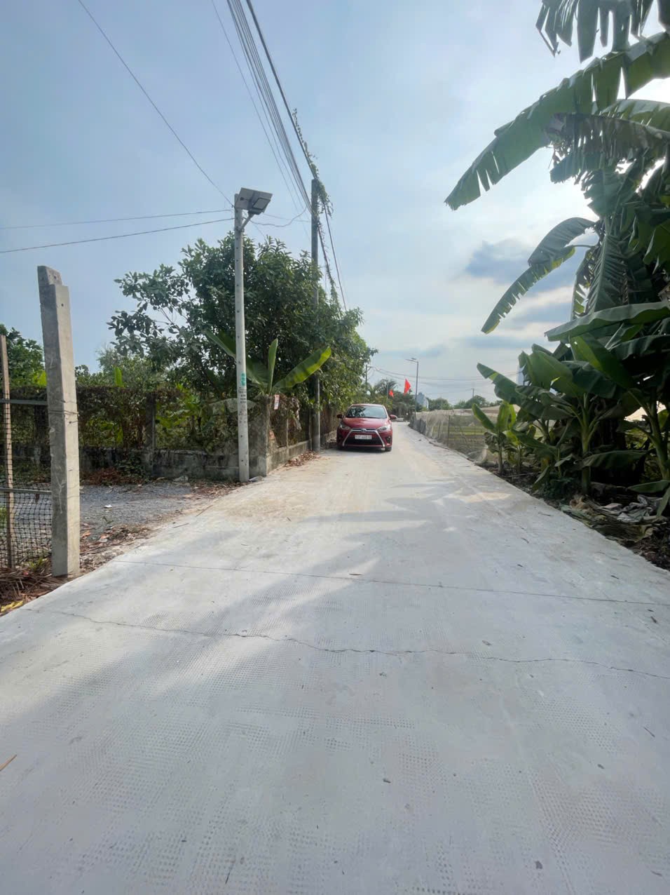 Bán đất thổ vườn đường beton xe tải xã Tân Phú Trung dt 1000m2 ( 200m2 thổ ) giá 5,5 tỷ 2