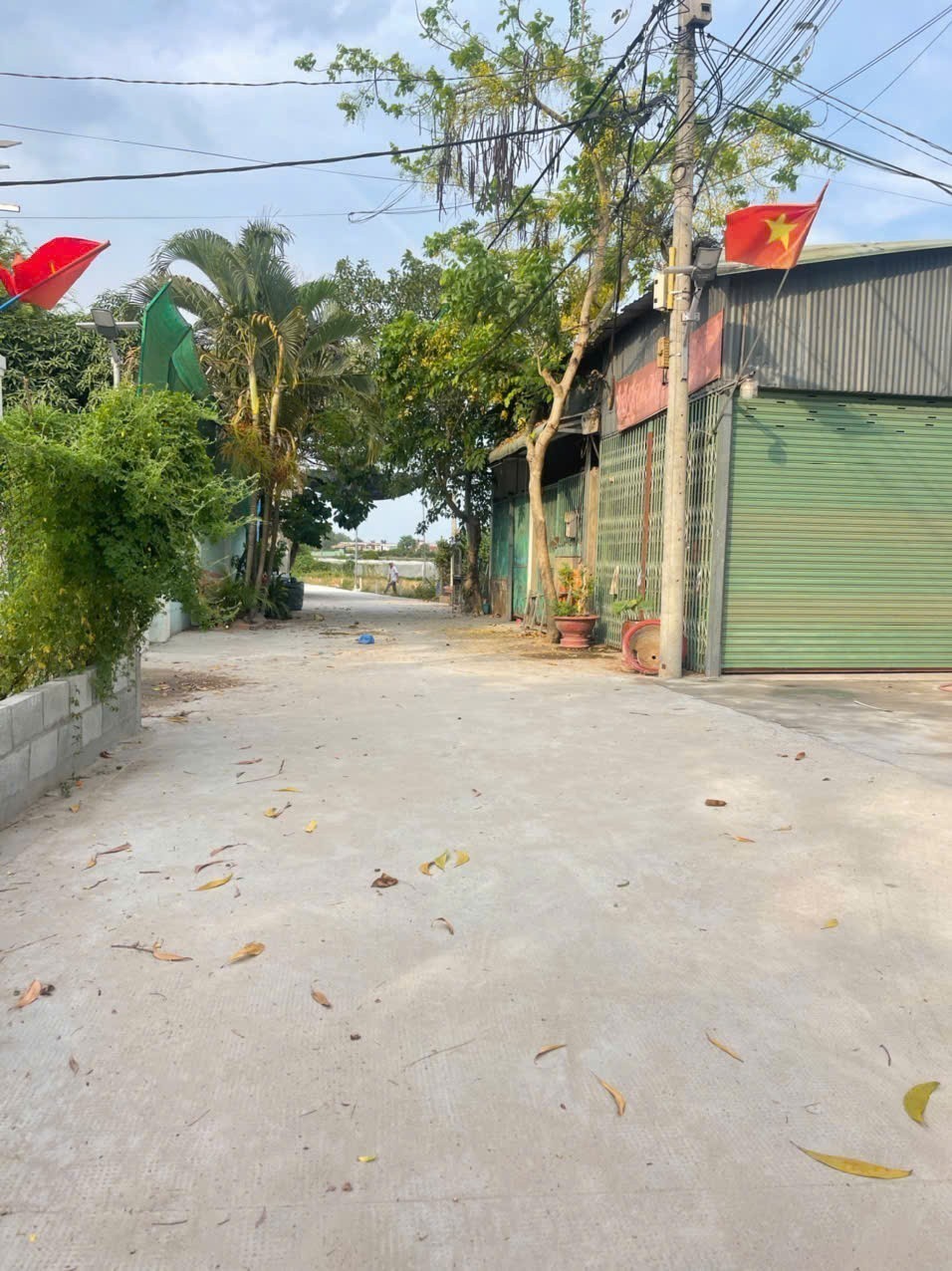 Bán đất thổ vườn đường beton xe tải xã Tân Phú Trung dt 1000m2 ( 200m2 thổ ) giá 5,5 tỷ 4