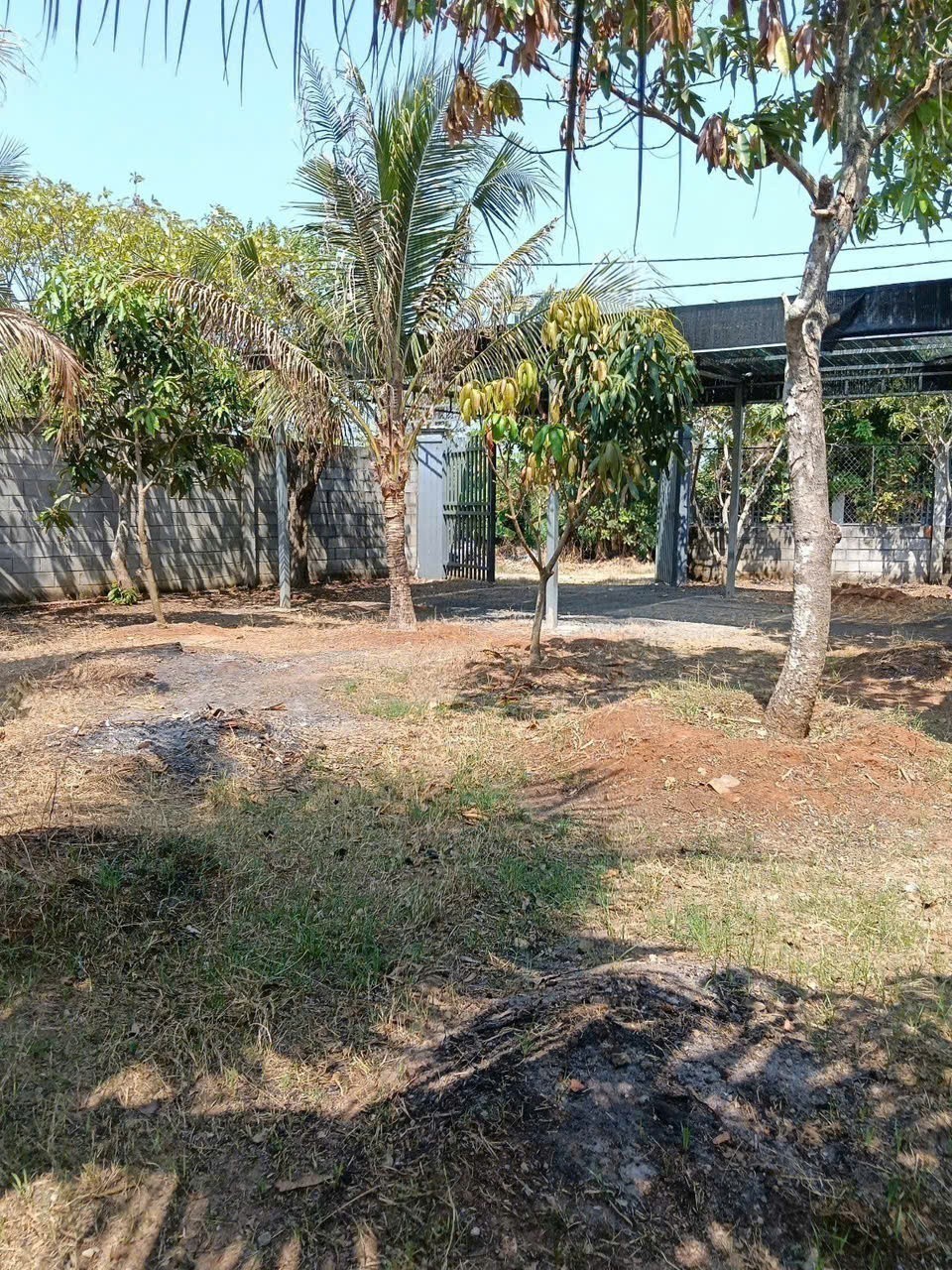 NHÀ VƯỜN (29X16) THỚI TAM THÔN – GIÁ MỀM CHỈ 9.3 TỶ ĐẦU TƯ NGAY 5