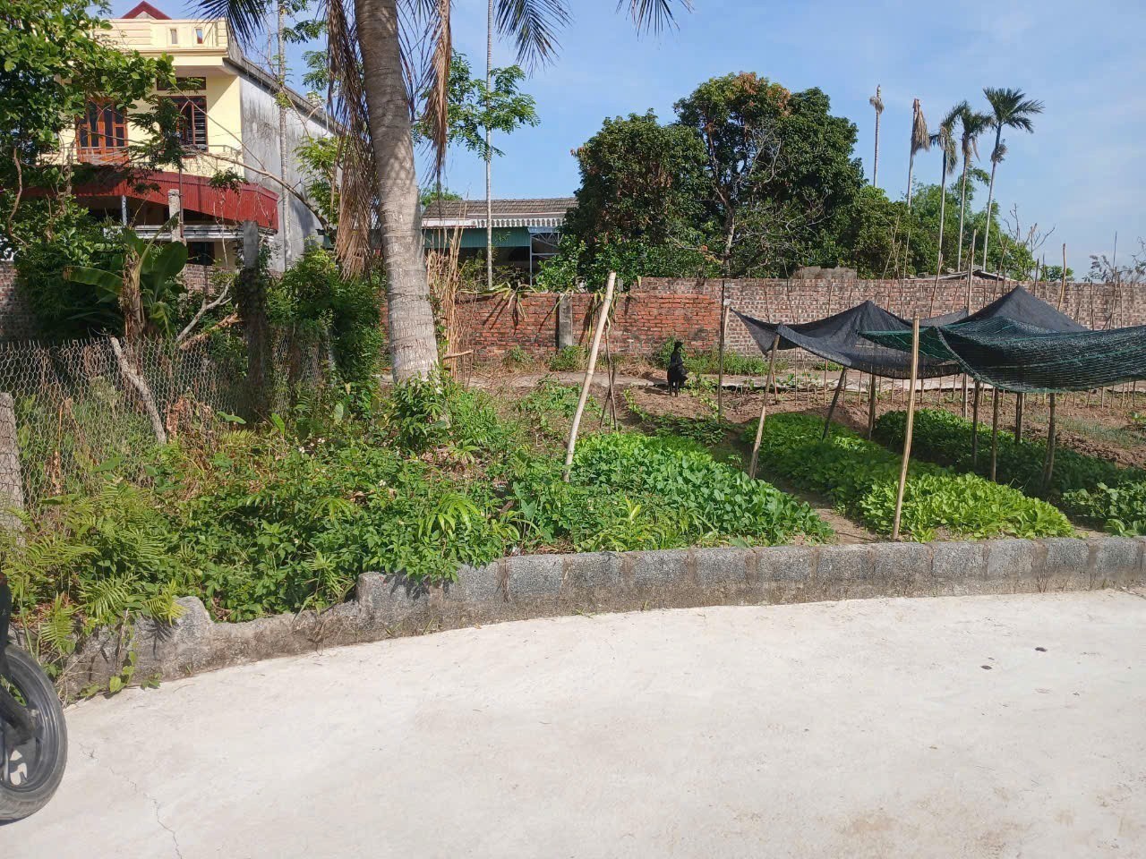 Cần bán Đất Xã Thuận Thiên, Kiến Thụy, Diện tích 81m², Giá Thương lượng 2