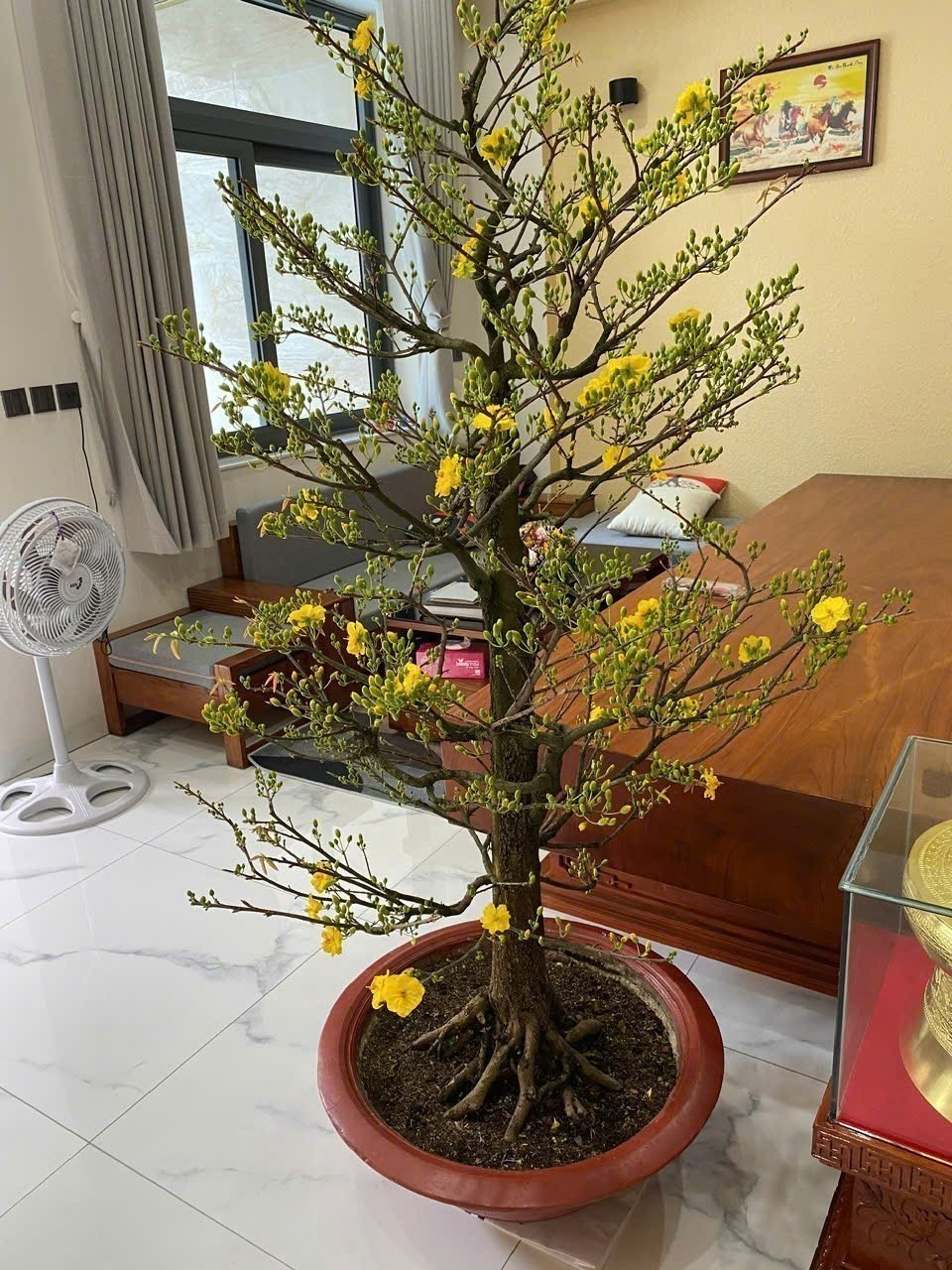Cho thuê Nhà mặt tiền Phường Bình Trưng Đông, Quận 2, Diện tích 108m², Giá 30 Triệu/tháng 3