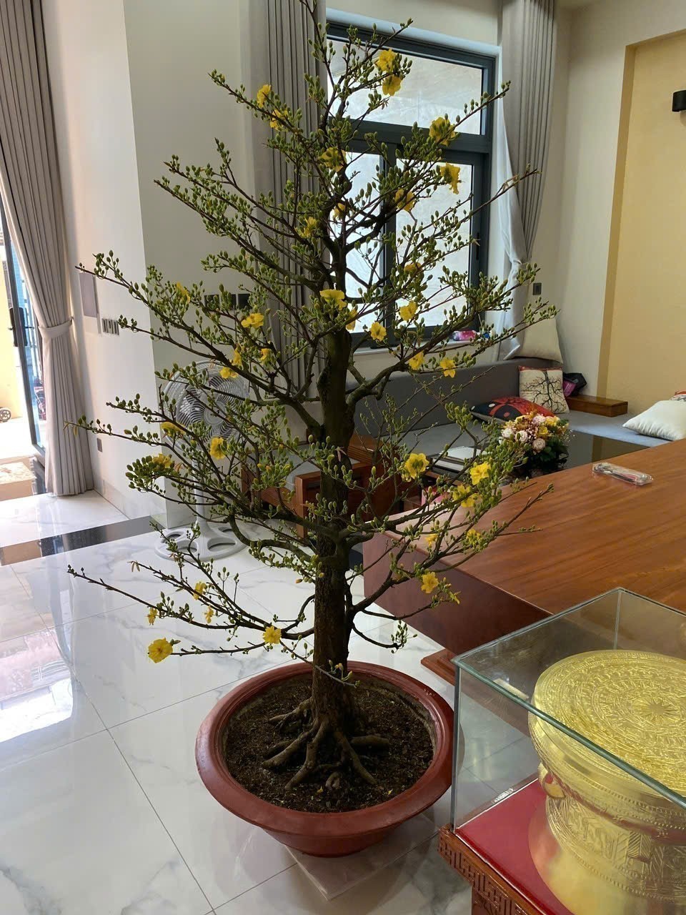 Cho thuê Nhà mặt tiền Phường Bình Trưng Đông, Quận 2, Diện tích 108m², Giá 30 Triệu/tháng 4