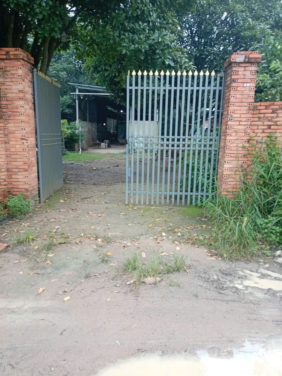 Bán nhà vườn xã Phú Hòa Đông tdt 1500m2 chưa thổ giá 3,8 tỷ 3