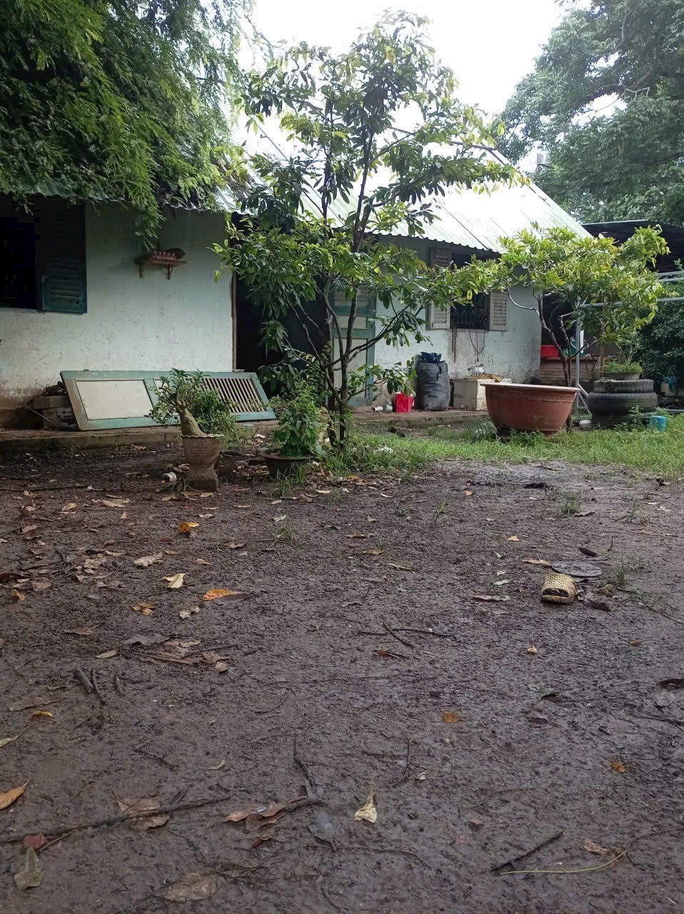 Bán nhà vườn xã Phú Hòa Đông tdt 1500m2 chưa thổ giá 3,8 tỷ 4