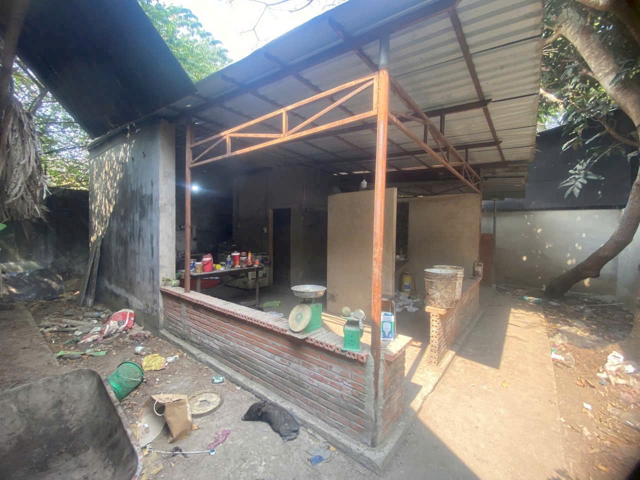 Bán nhà vườn xã Phú Hòa Đông tdt 1500m2 chưa thổ giá 3,8 tỷ 6
