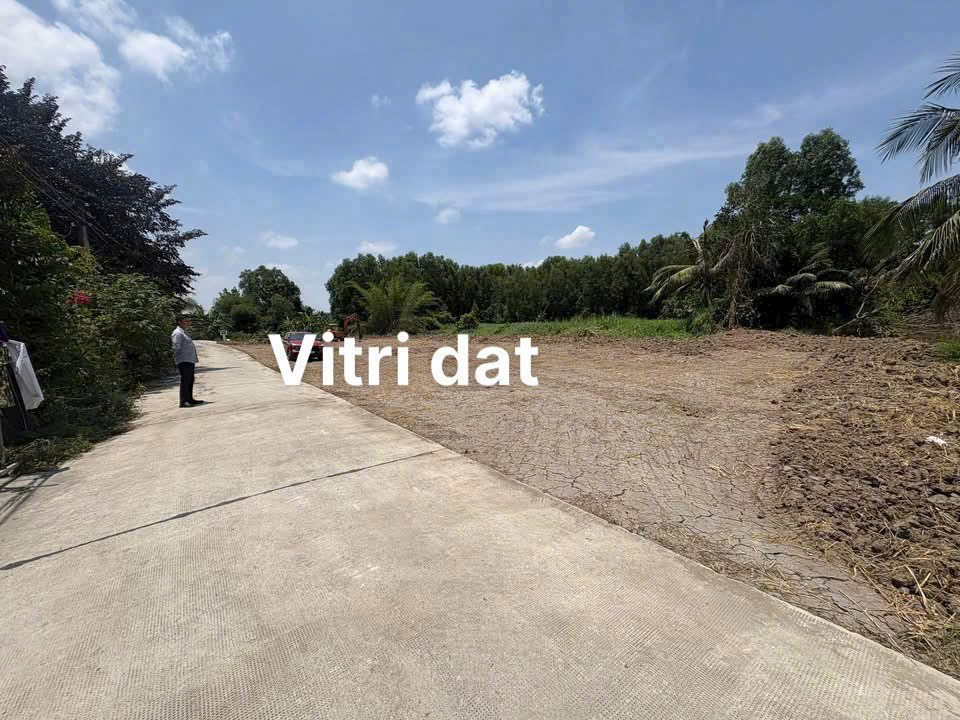 Bán nền thổ cư đường oto beton xã Bình Lãng, Tân Trụ dt 140m2 giá 499tr / lô