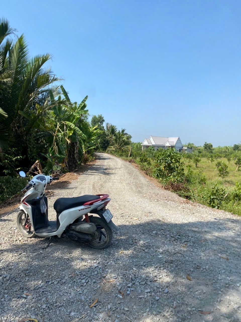 Bán đất vườn view sông Vàm Cỏ Đông , xã Thạnh Hòa, Bến Lức dt 1000m2 giá 1,55 tỷ 3