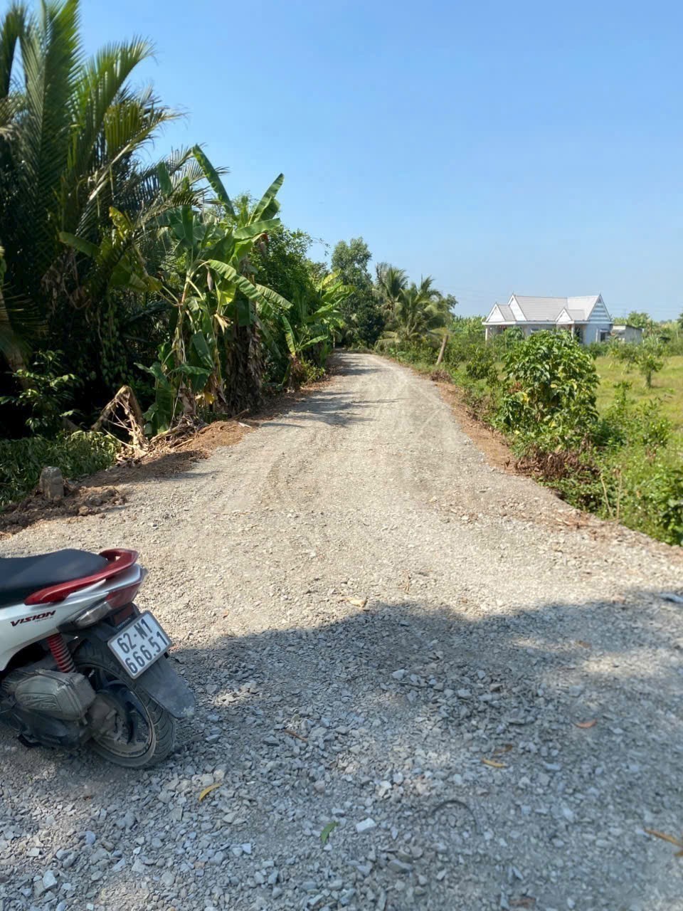 Bán đất vườn view sông Vàm Cỏ Đông , xã Thạnh Hòa, Bến Lức dt 1000m2 giá 1,55 tỷ 5