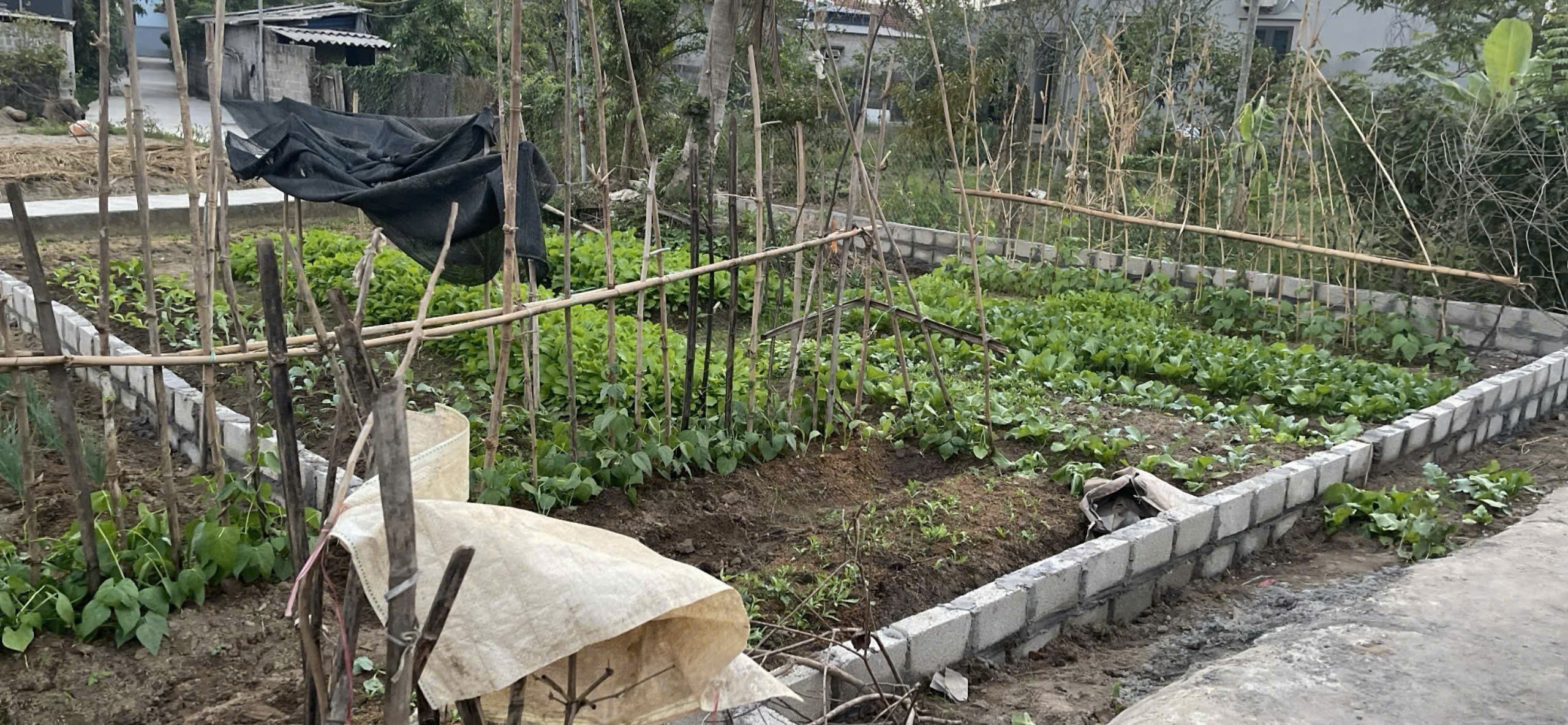 Cần bán Đất Xã Thuận Thiên, Kiến Thụy, Diện tích 81m², Giá Thương lượng 3