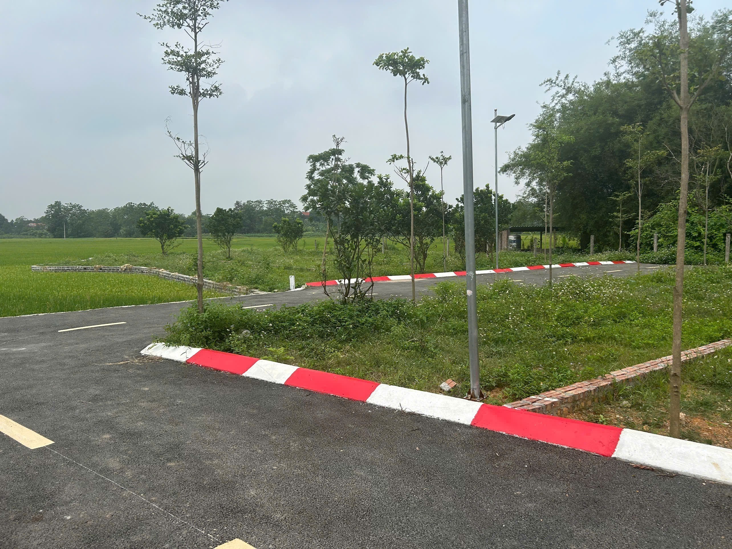 Chỉ 1 tỷ rưỡi! Cổ Đông, Hòa Lạc 80,7m2 ngay gần QL21, khu CNC 2