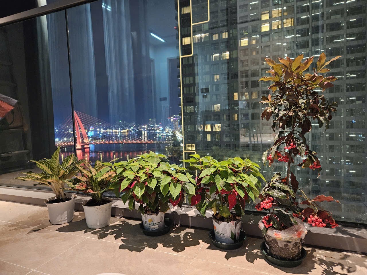 Cần bán Căn hộ chung cư Quận 1, Hồ Chí Minh, Diện tích 60m², Giá 24.99 Tỷ 9