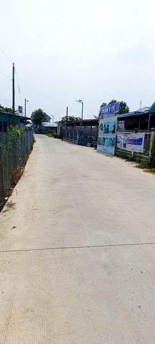 Bán đất đường beton xe tải Mỹ Bình, Tân Trụ dt 210m2 giá 790 triệu 3