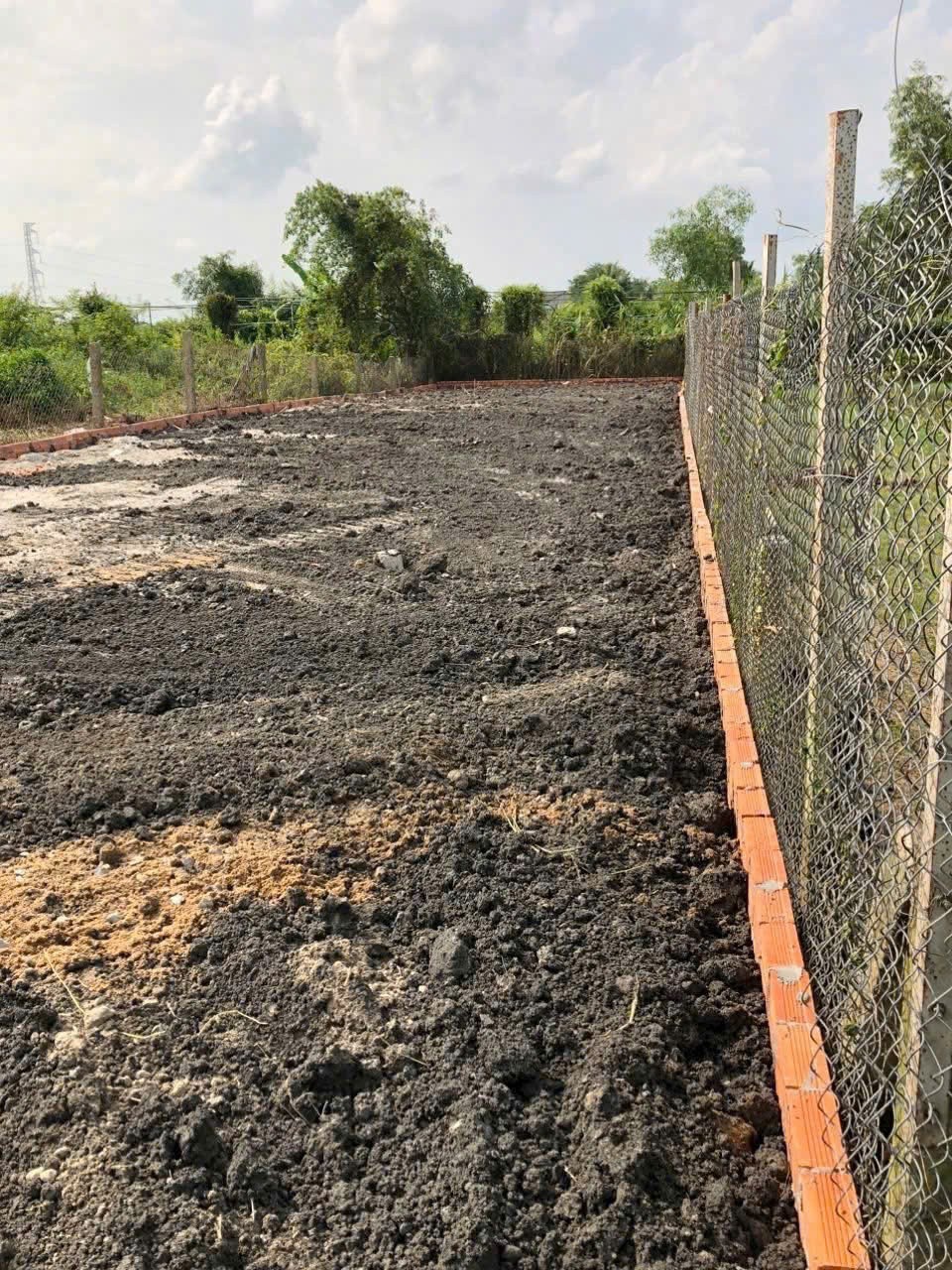 Bán nền thổ cư đường beton 6m xã Mỹ Bình, Tân Trụ dt 278,9m2 hướng Đông Nam giá 1,45 tỷ 3