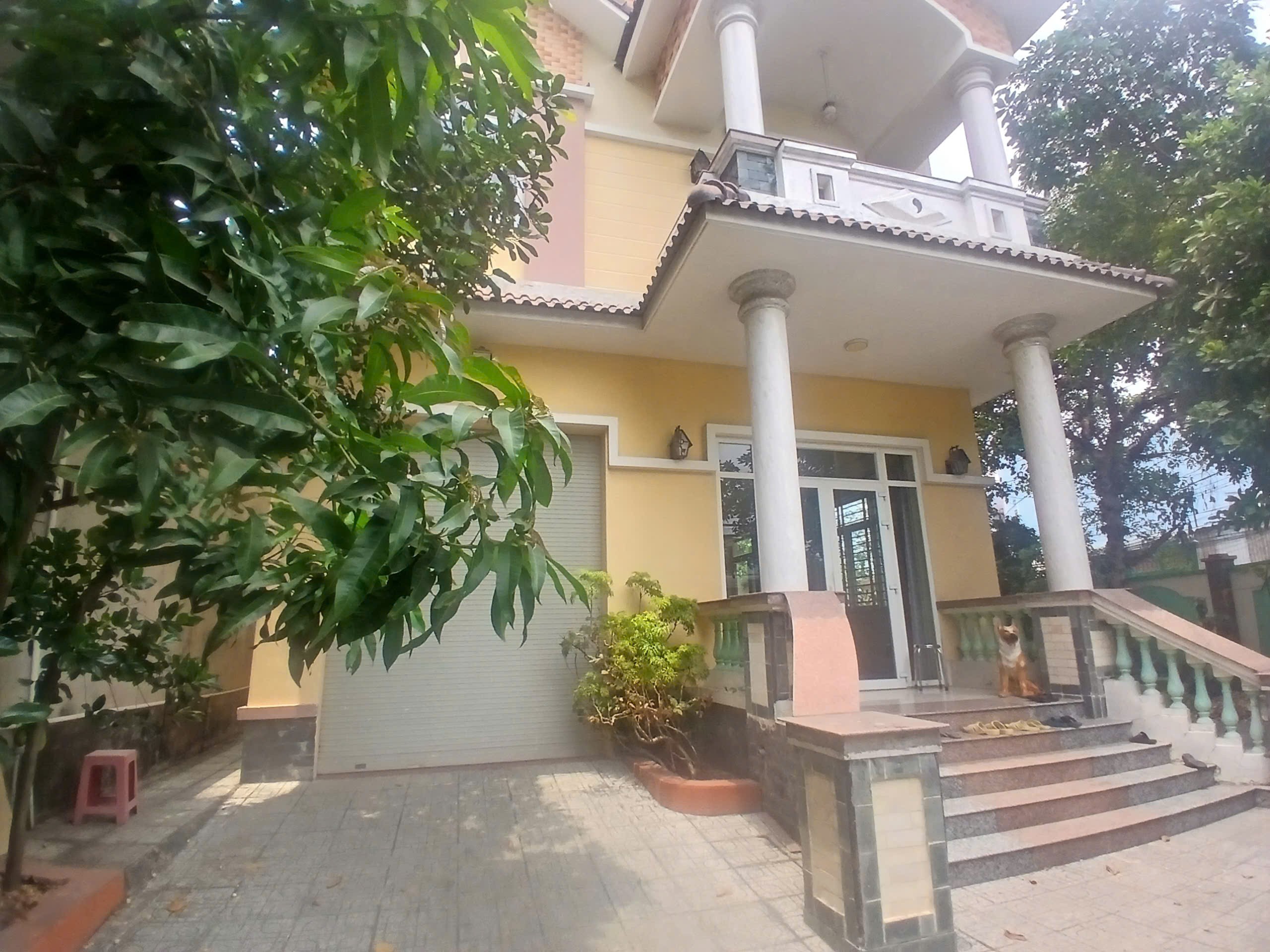 BIỆT THỰ GÓC 2 MẶT TIỀN 500M² – PHÚ LỢI – SIÊU PHẨM ĐẦU TƯ 3