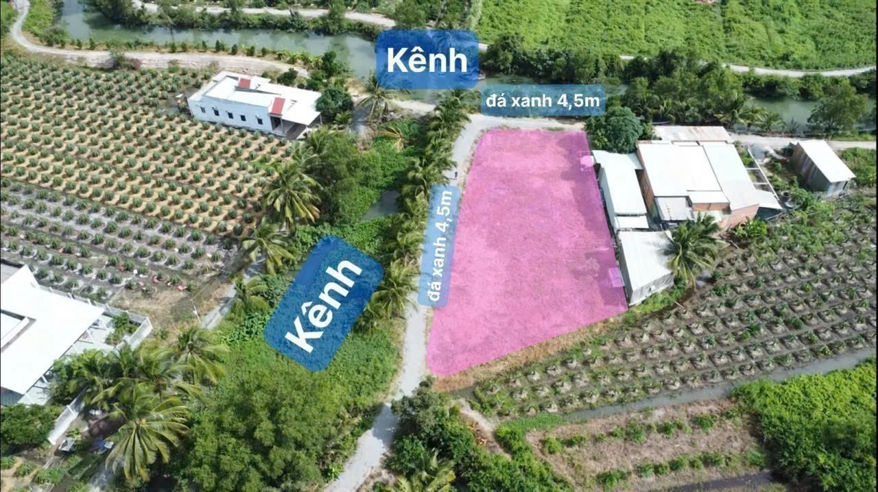 Bán đất góc 2mt view kênh xã Bình Đức, Bến Lức tdt 1000m2 ( 200m2 thổ) giá 2,299 tỷ 5