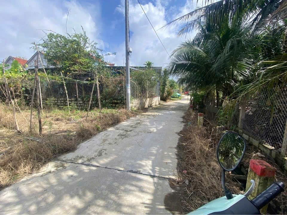 Cần bán Đất Phường Ninh Đa, Ninh Hòa, Diện tích 371m², Giá 1.3 Tỷ 4