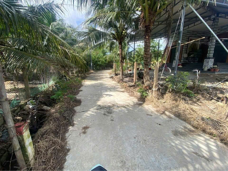 Cần bán Đất Phường Ninh Đa, Ninh Hòa, Diện tích 371m², Giá 1.3 Tỷ 6