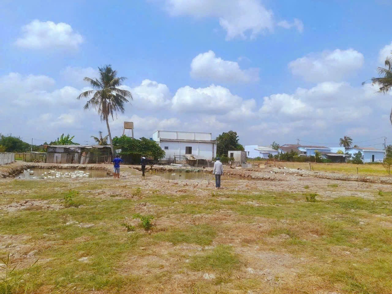 Bán đất vườn view kênh giá rẻ xã Đức Tân, huyện Tân Trụ dt 500m2 giá 400 triệu 2