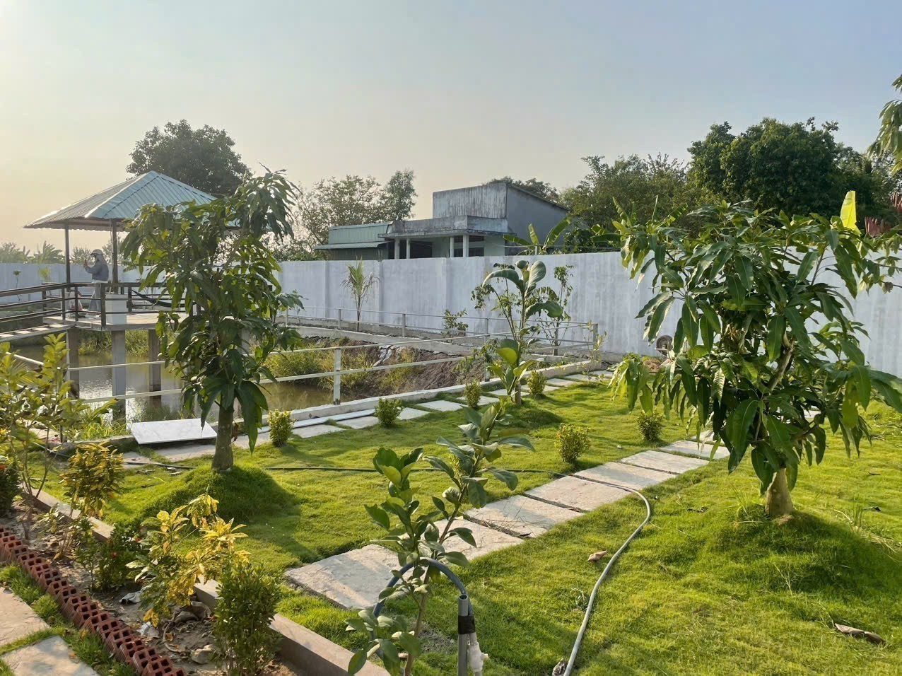 Bán nhà vườn đẹp , đường oto beton xã Phước Vân, Cần Đước tdt 900m2 ( 238m2 thổ) 2pn giá 4 tỷ 28