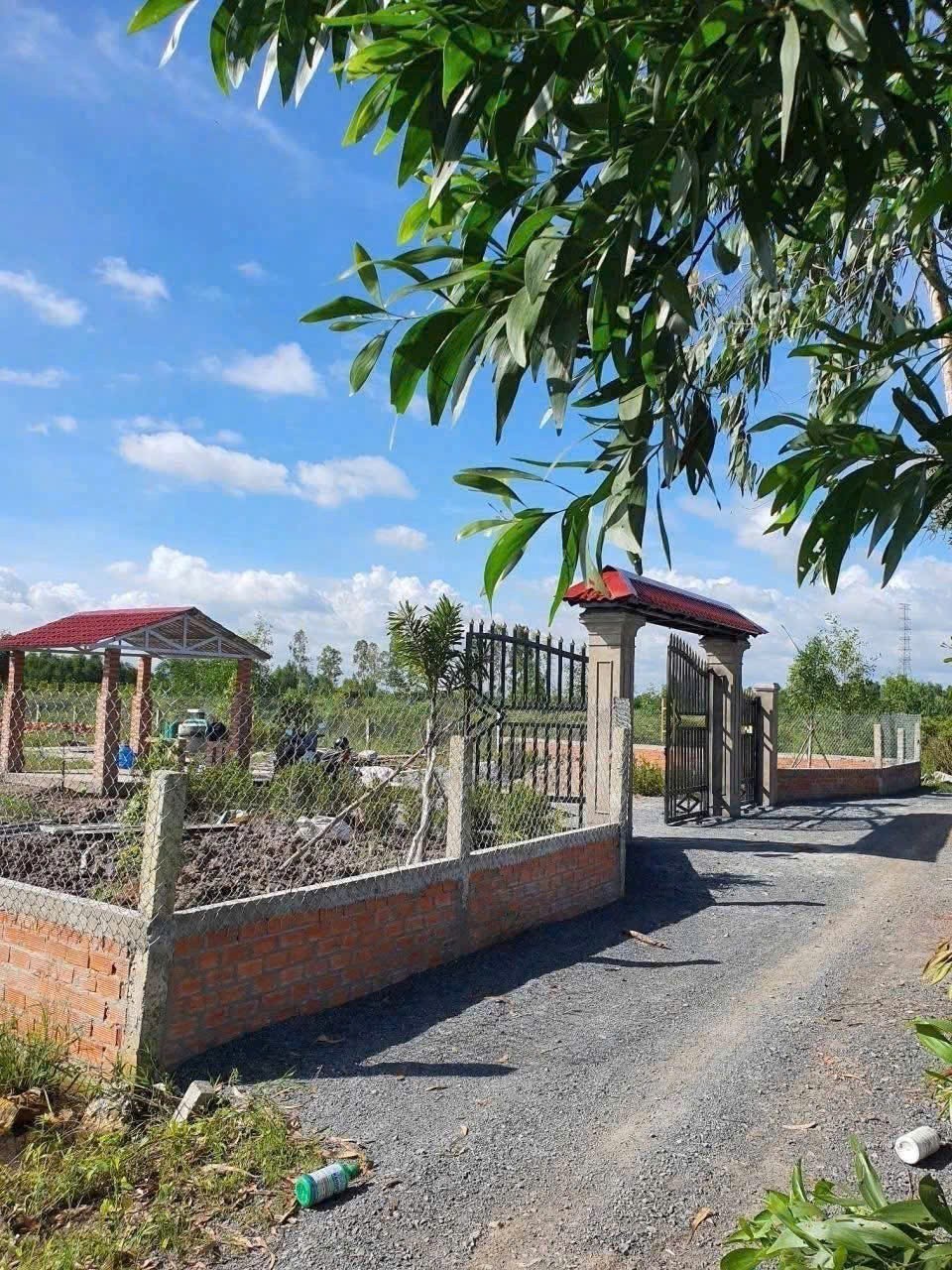 Bán đất vườn Bình Đức dt 2200m2 đường oto đá xanh thích hợp xây biệt thự , nhà vườn giá 1,69 tỷ 4