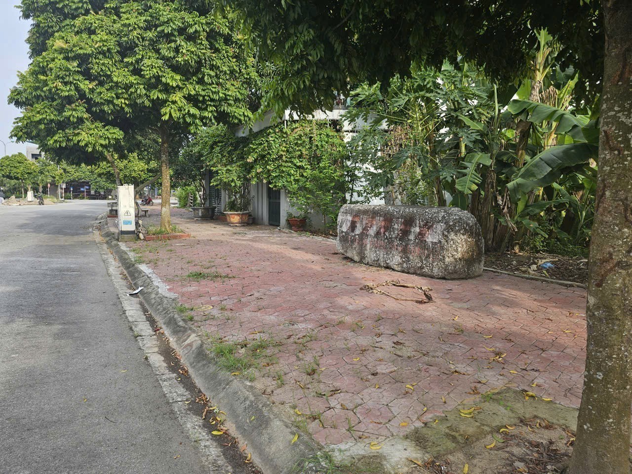 Cần bán Đất Phường Nhị Châu, Hải Dương, Diện tích 233m², Giá 230 Triệu/m²