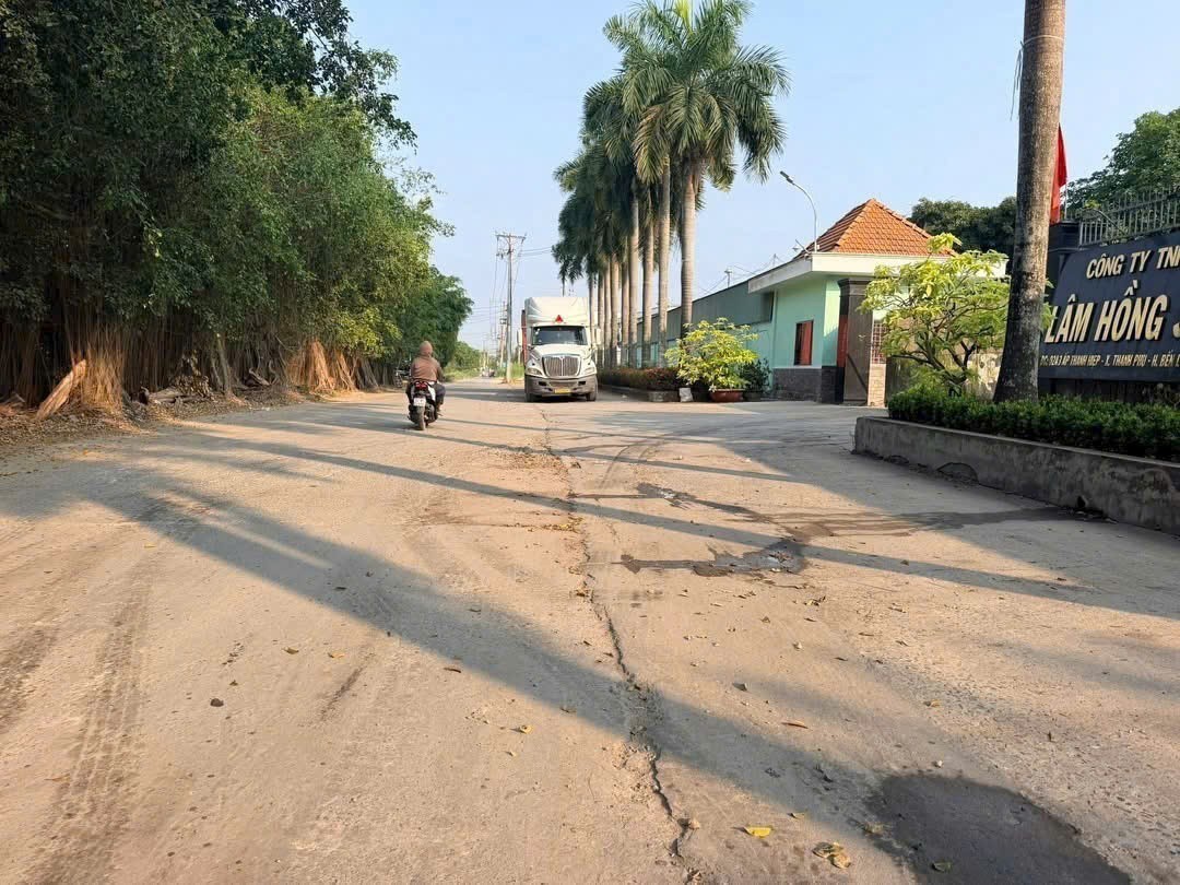 Bán đất SKC đường xe cont xã Thanh Phú, Bến Lức dt 2000m2 giá 15 tỷ 4